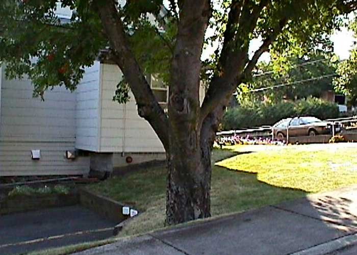 Before: The sloping west side of the future landscape, which was re-graded extensively, July 2002
