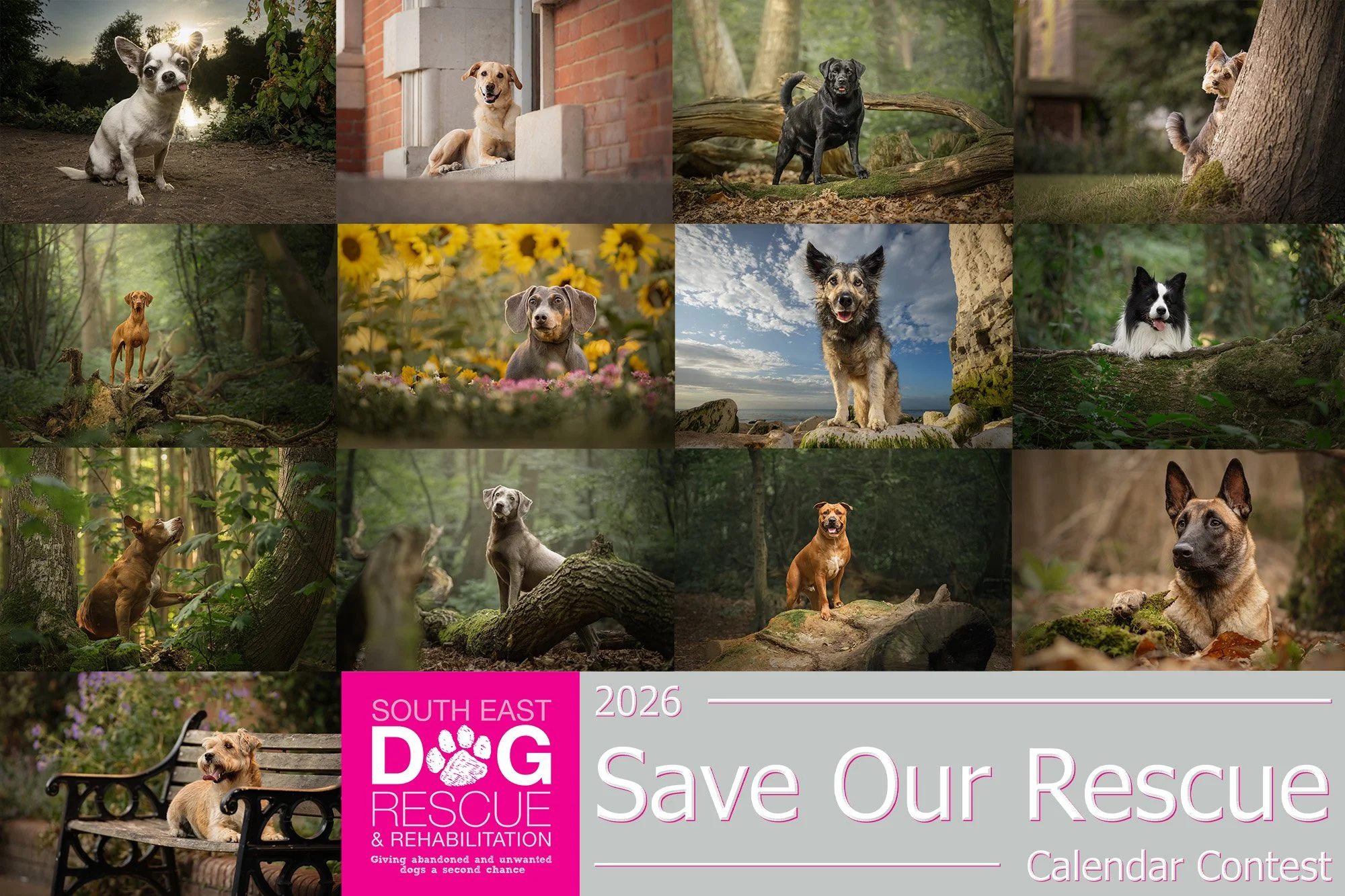 The 2026 Save Our Rescue Calendar for South East Dog Rescue — Conor ...