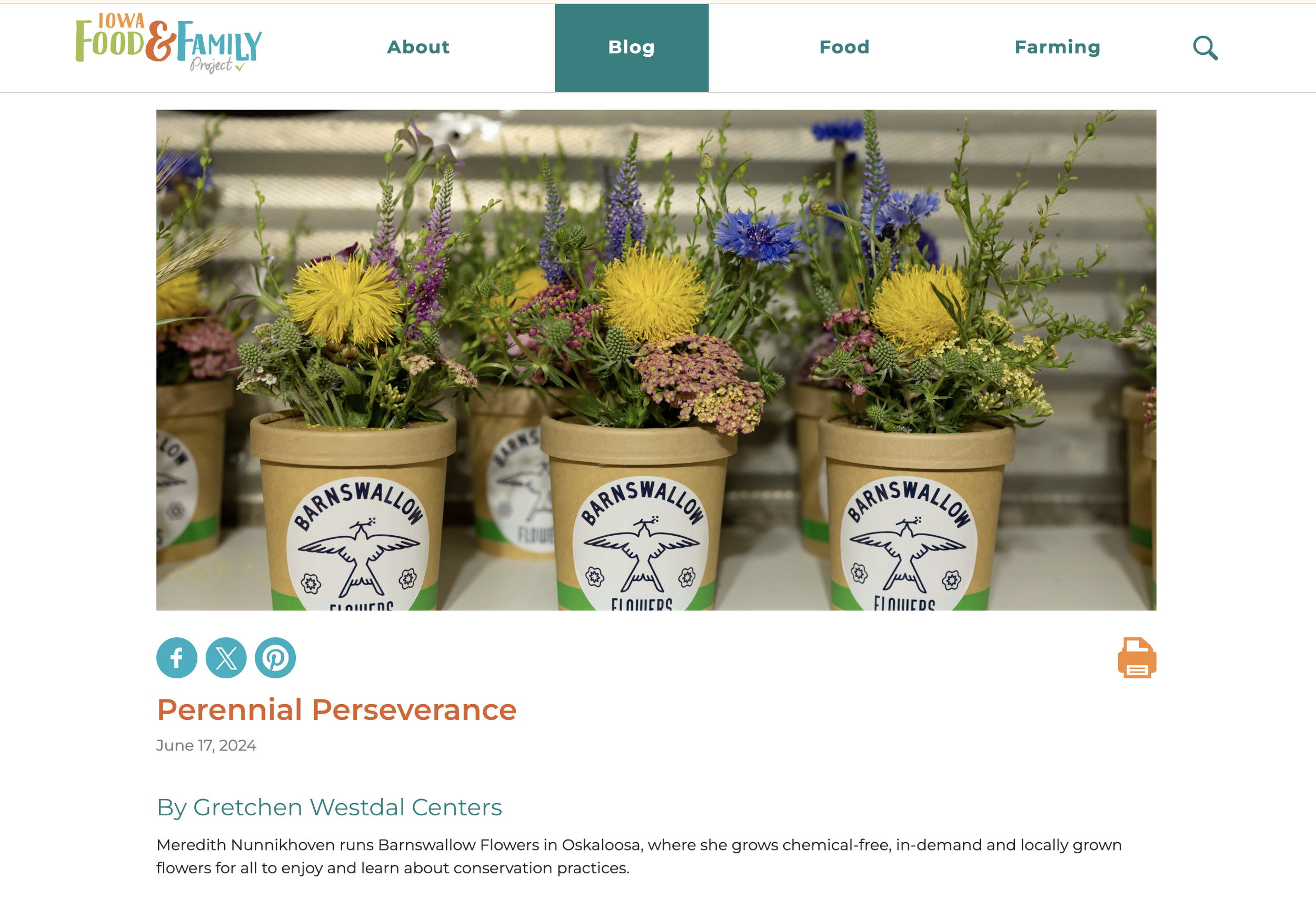 Screenshot 2024-11-18 at 11.22.48 AM.png