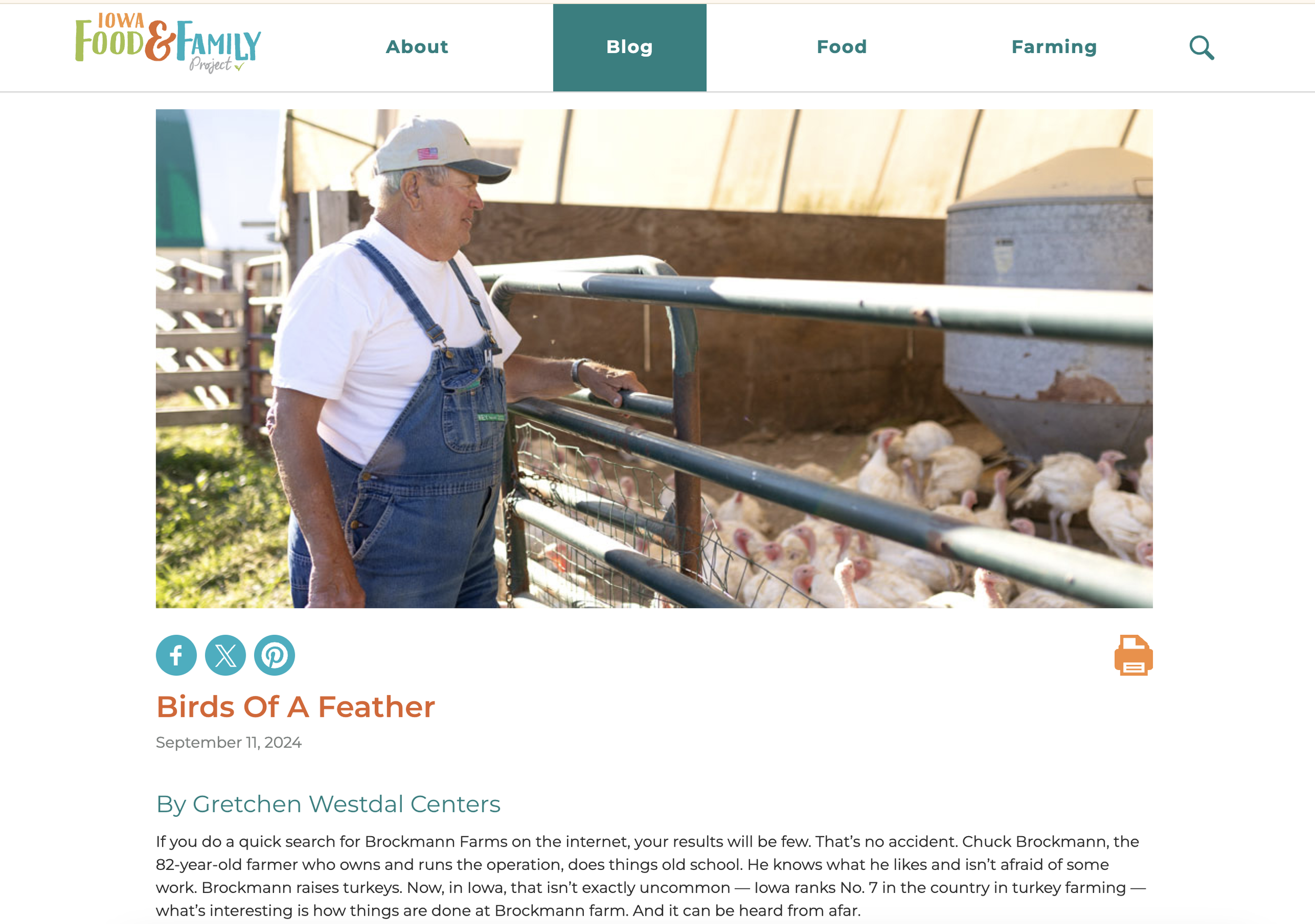 Screenshot 2024-11-18 at 11.24.38 AM.png