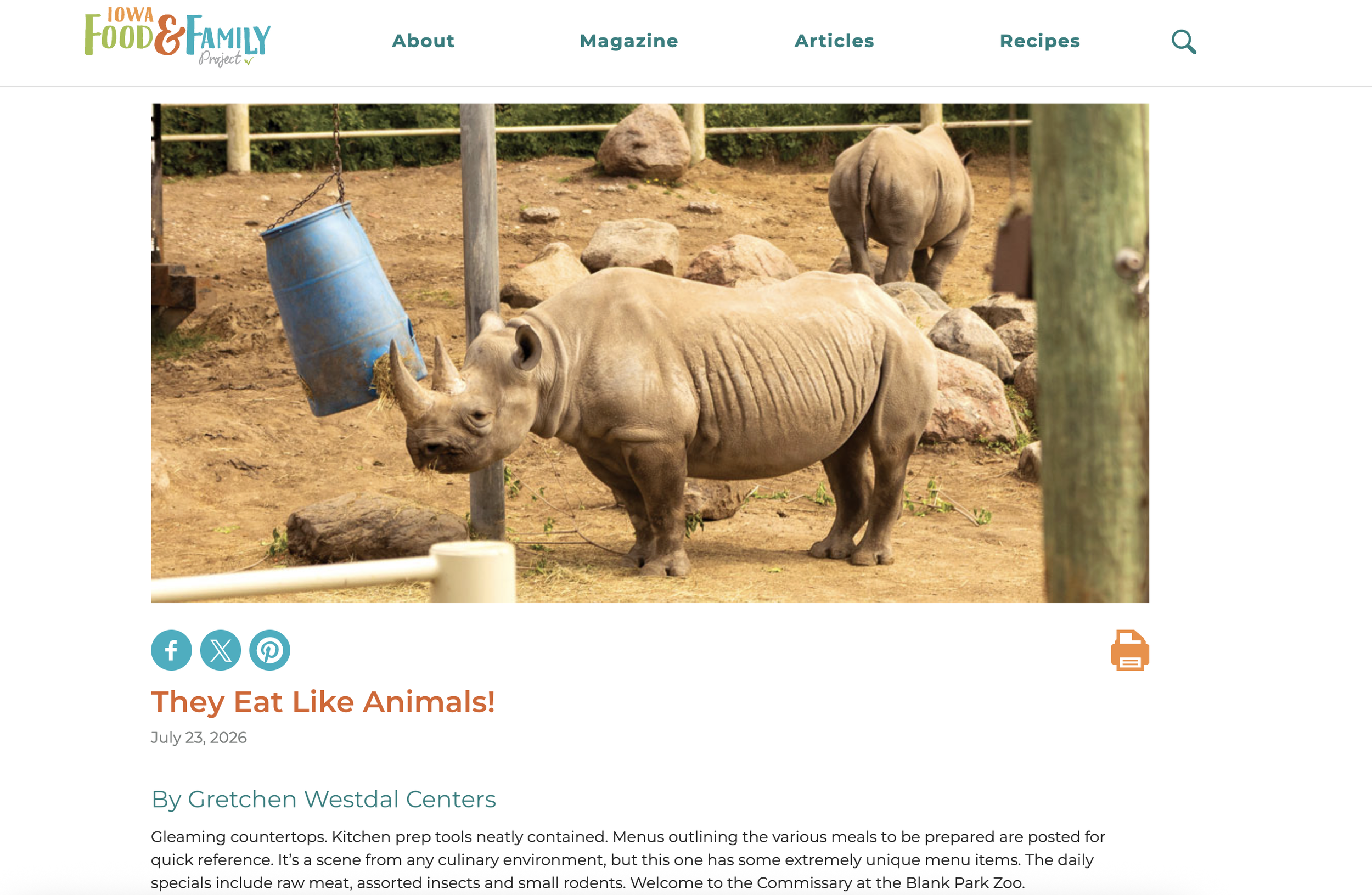 Photo of two rhinos in an enclosure at a zoo, with rocks and trees in the background. One rhino is near a hanging blue bucket.