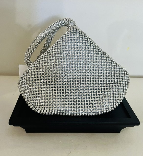 Silver Evening Bag.jpg