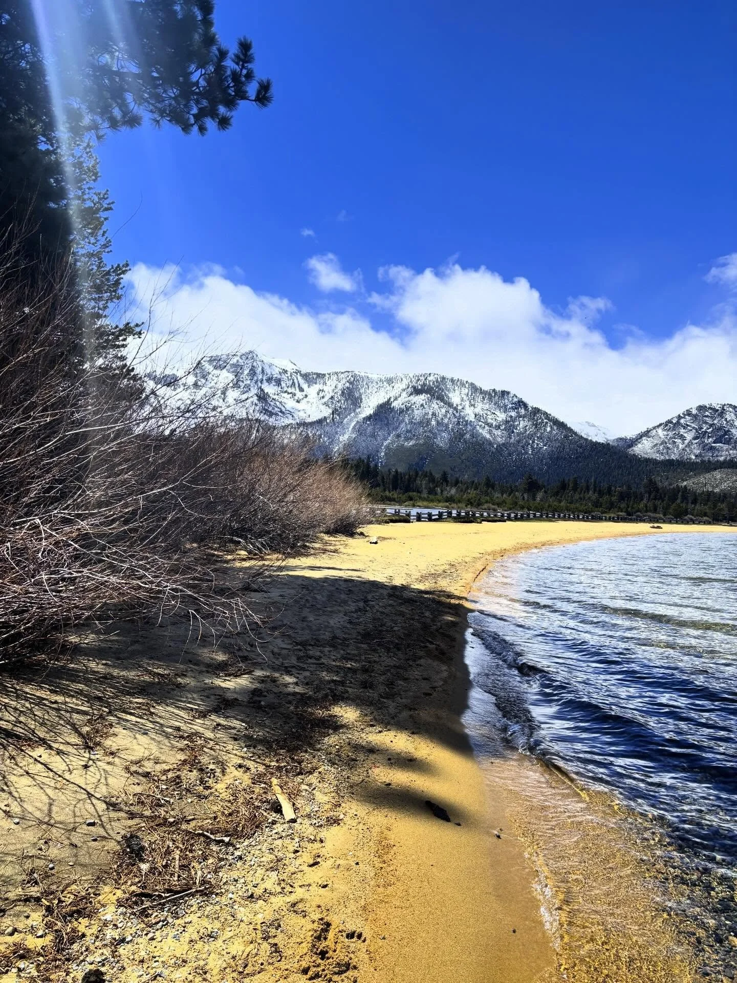 Lake Tahoe shoreline looking up to Mount Tallac, on a cool April morning. #laketahoe #california #shore #mountains #mounttallac