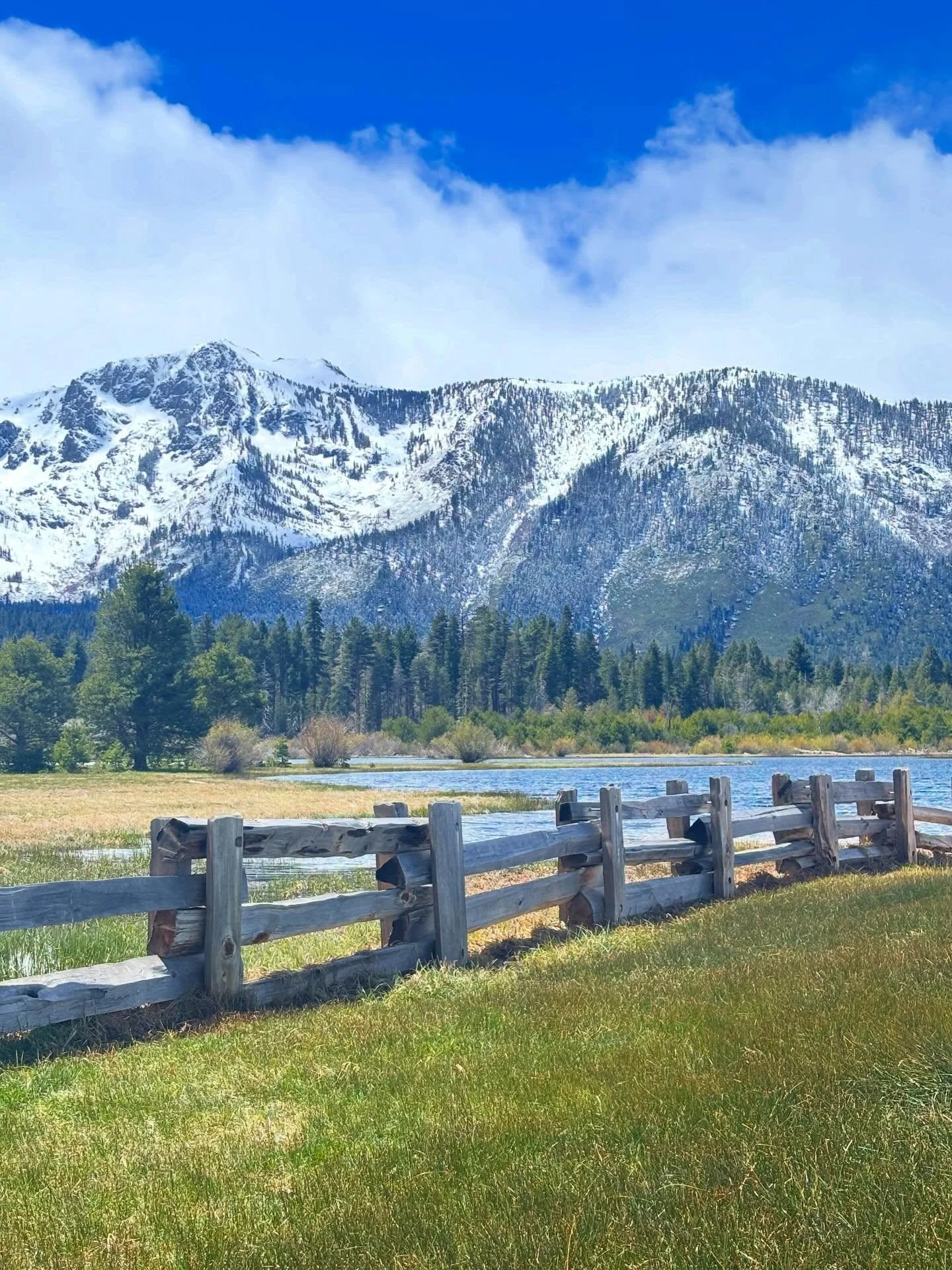 Tallac Point beside Baldwin Beach, Lake Tahoe, California. #tallacpoint #baldwinbeach #laketahoe #california #snowday