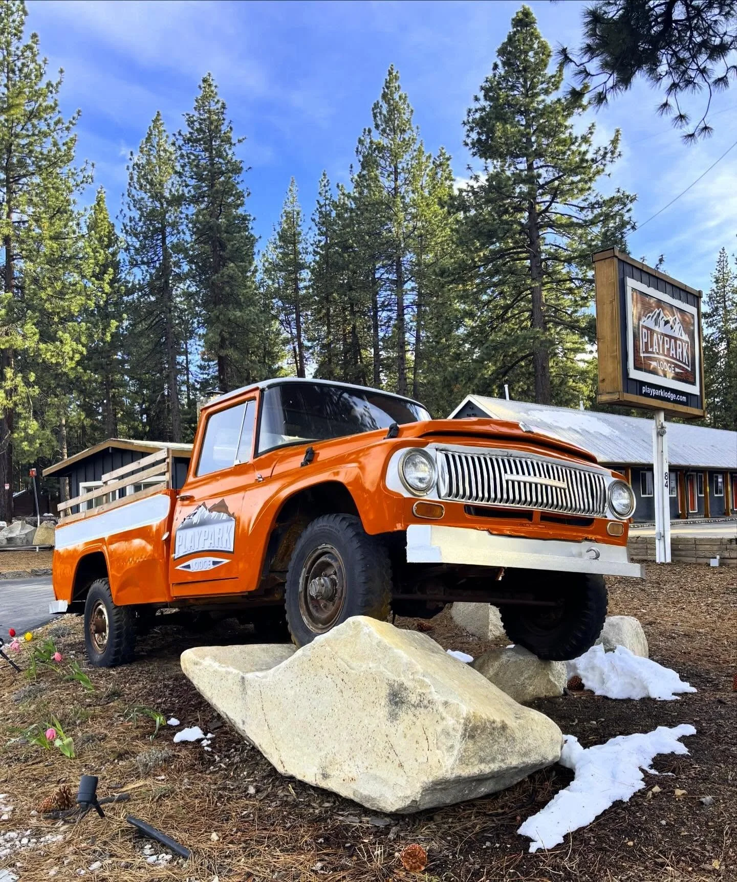Vintage International pick up in South Lane Tahoe #southlaketahoe #vintage #pickuptruck #international #california