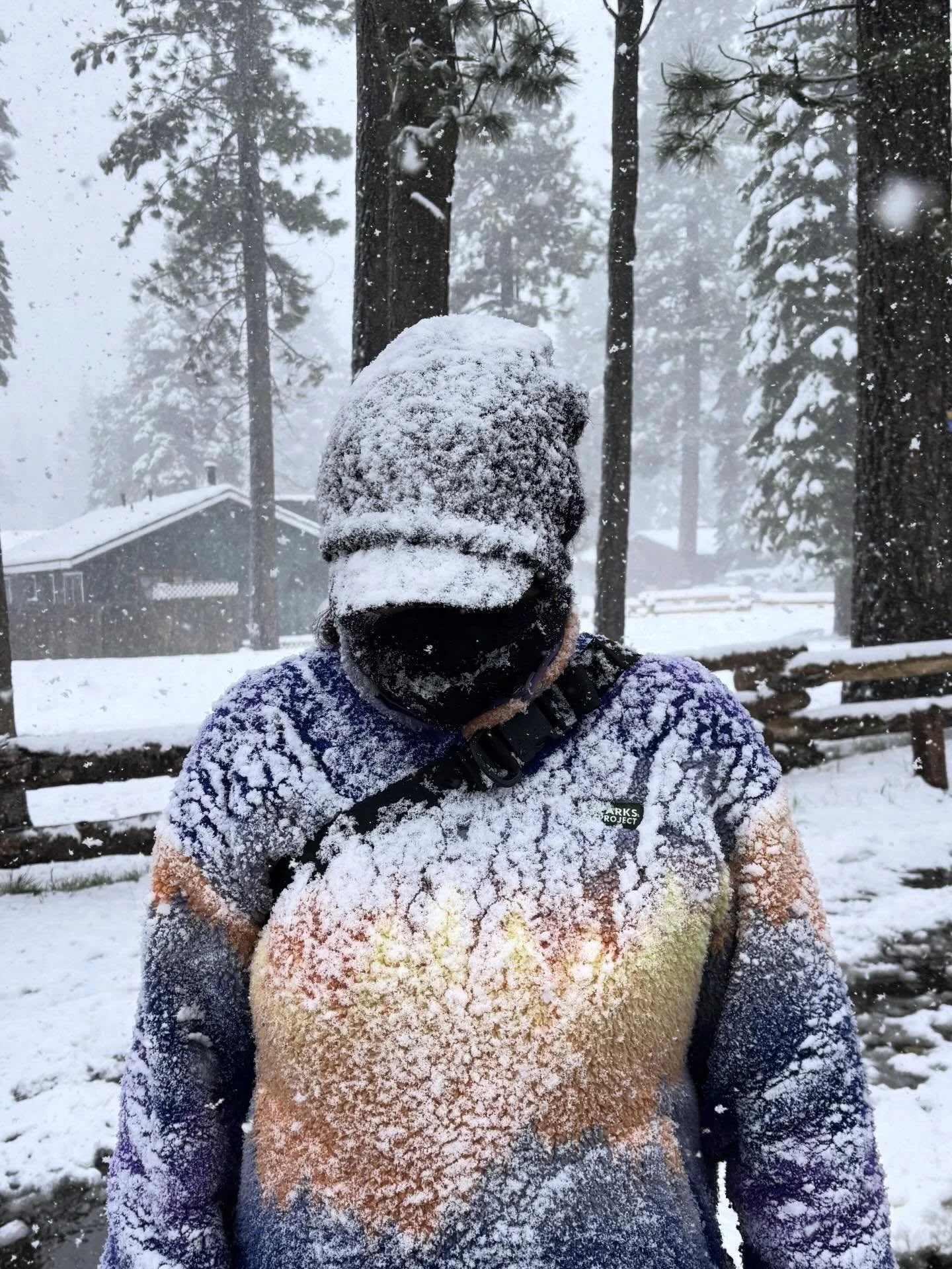 Snow day camouflage, mid April in South Lake Tahoe #snowday #snow #southlaketahoe #laketahoe #california