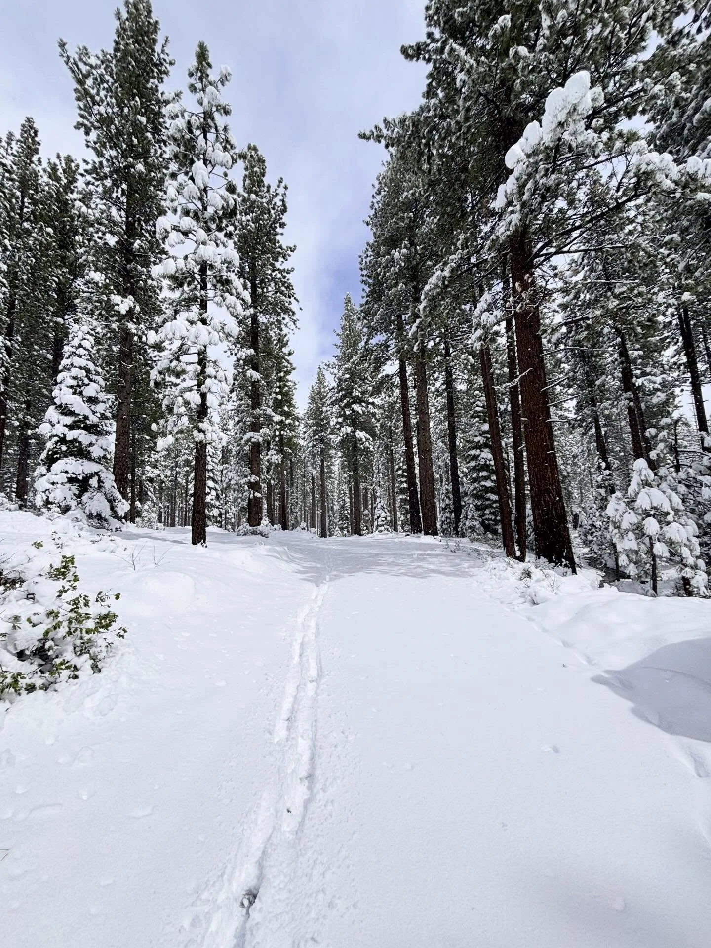 Mid April snow storms up here at Lake Tahoe, must be approx on foot of snow over the weekend. #snow #snowday #southlaketahoe #laketahoe #california