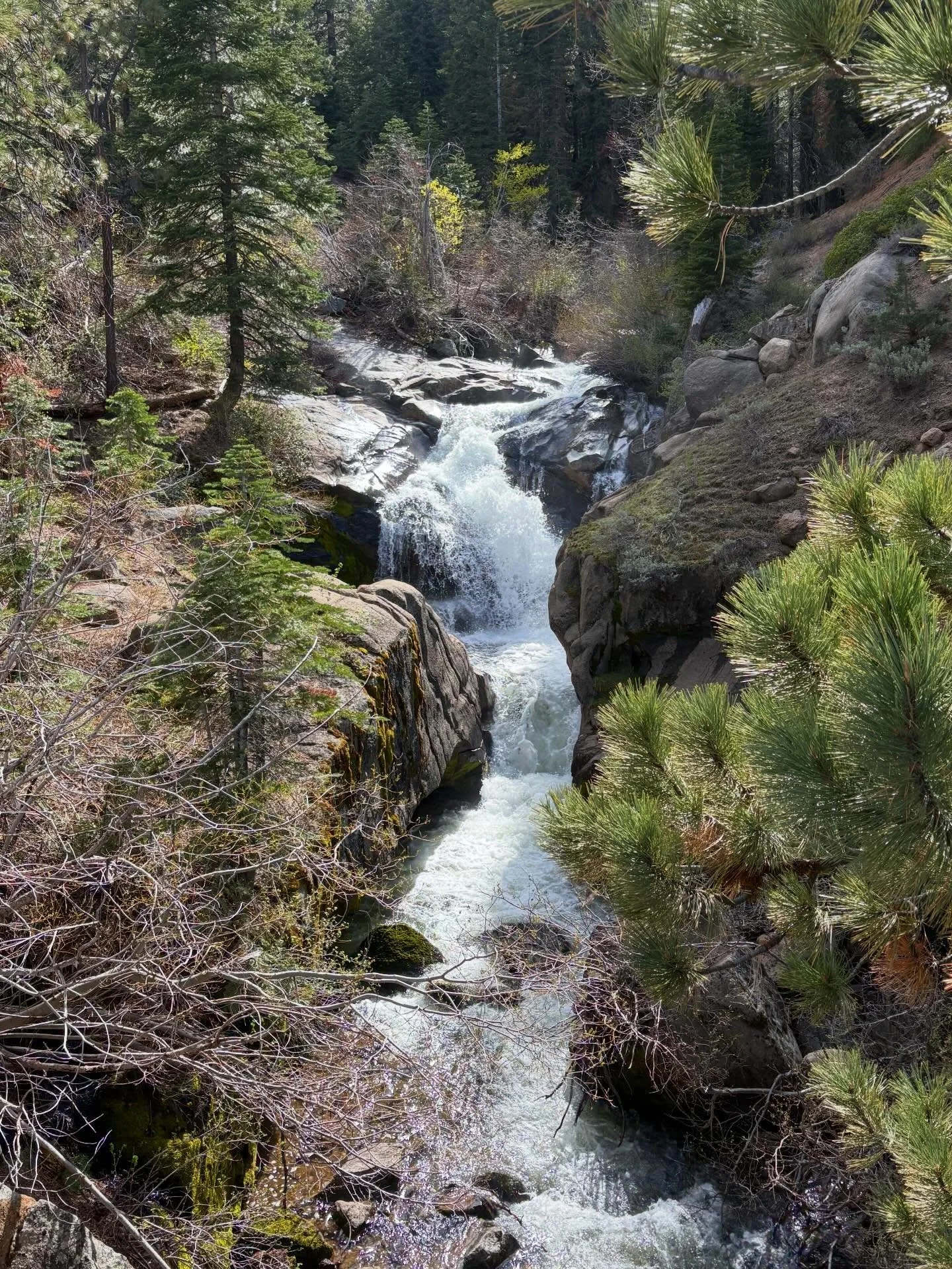 Waterfall in the high mountains on Ebbetts Pass, California #waterfall #ebbettspass #waterfalls #california #sierranevadamountains