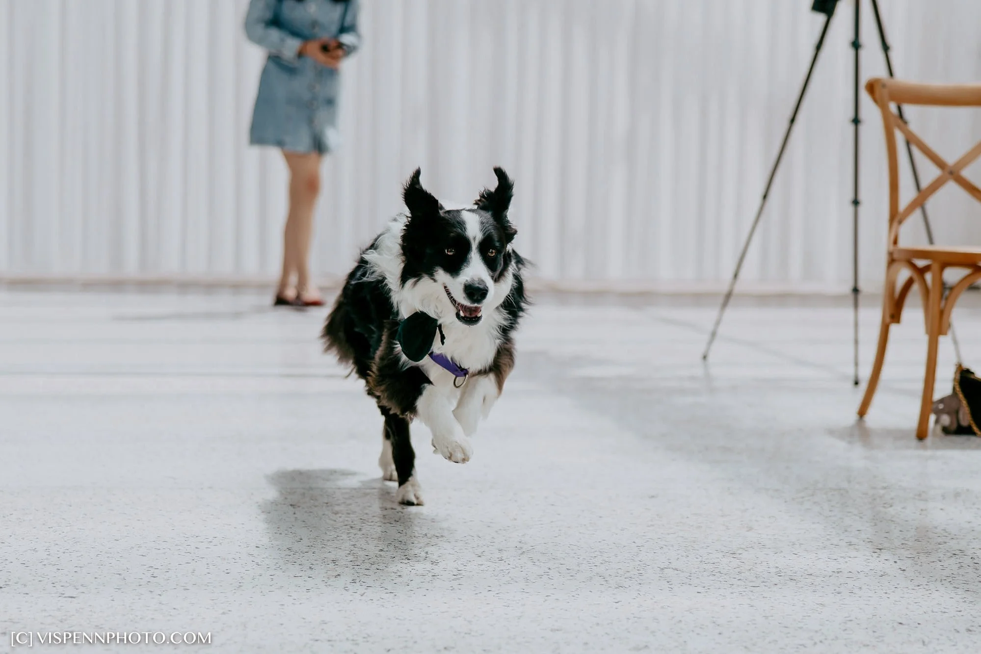 Melbourne Rooftop Wedding Venue Rombe Glasshouse - luis and Ivy-26.jpg