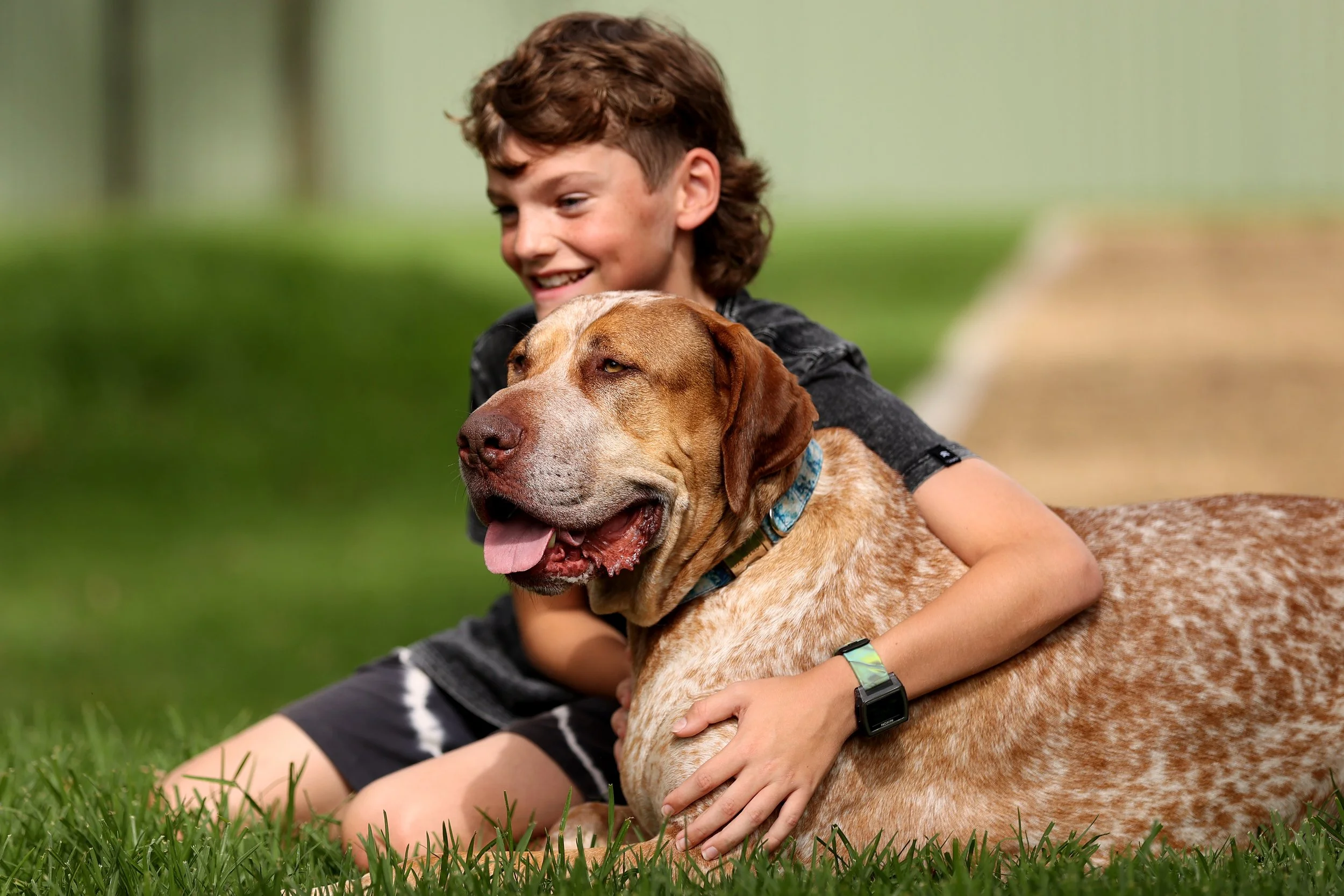  SYDNEY, AUSTRALIA - DECEMBER 01: Nuclear, a shelter dog searches for his fur-ever home as CLIFFORD THE BIG RED DOG fronts the RSPCA NSW’s Big Dog Adoption Drive on December 01, 2021 in Sydney, Australia. (Photo by Brendon Thorne/Getty Images for Par