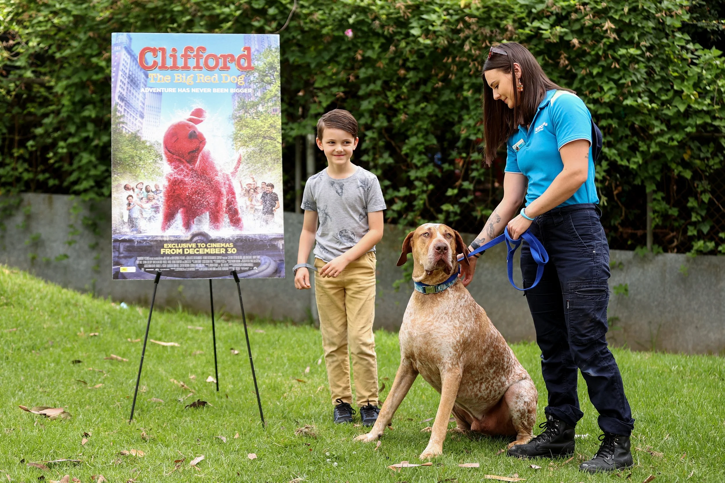  SYDNEY, AUSTRALIA - DECEMBER 01: Nuclear, a shelter dog searches for his fur-ever home as CLIFFORD THE BIG RED DOG fronts the RSPCA NSW’s Big Dog Adoption Drive on December 01, 2021 in Sydney, Australia. (Photo by Brendon Thorne/Getty Images for Par