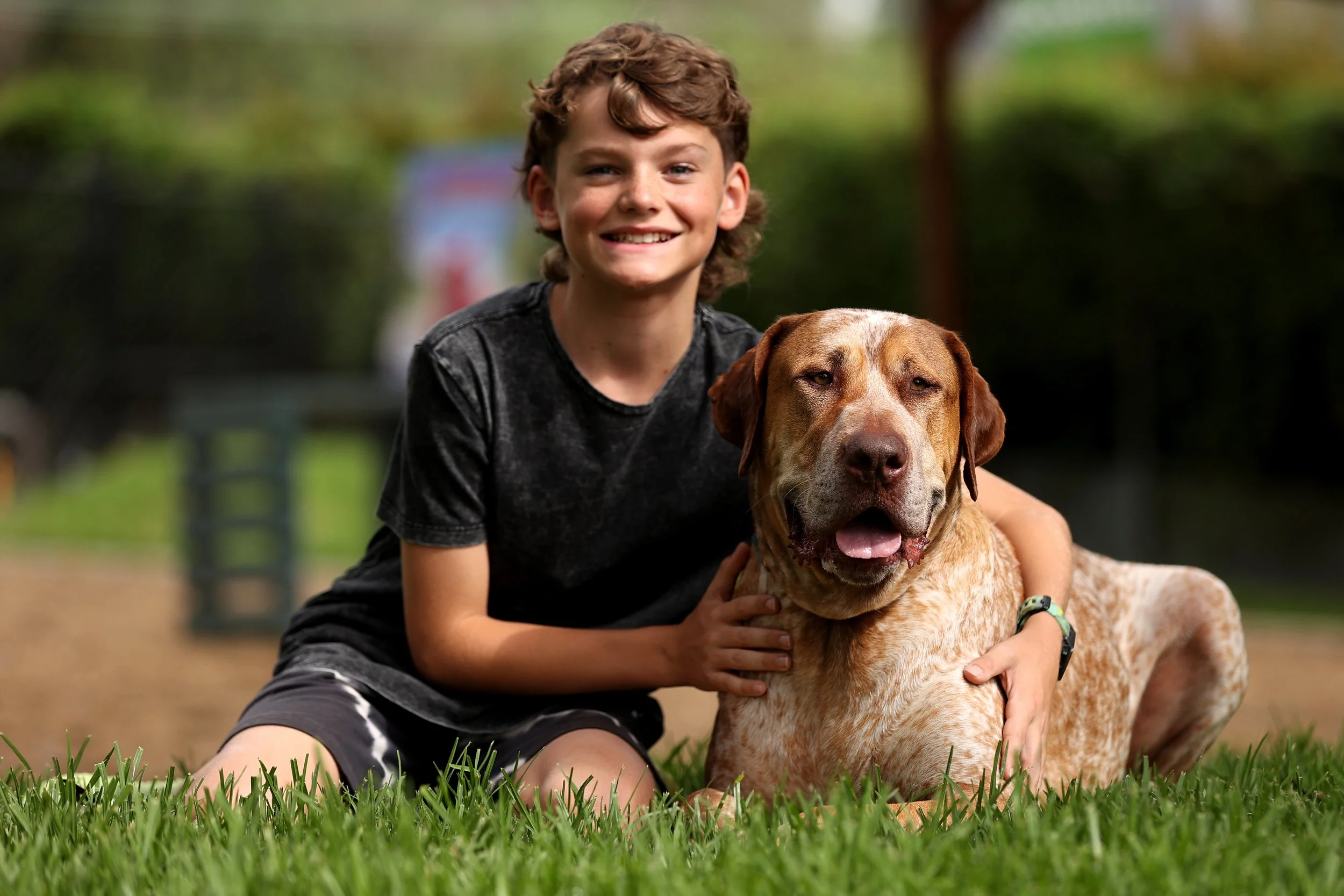  SYDNEY, AUSTRALIA - DECEMBER 01: Nuclear, a shelter dog searches for his fur-ever home as CLIFFORD THE BIG RED DOG fronts the RSPCA NSW’s Big Dog Adoption Drive on December 01, 2021 in Sydney, Australia. (Photo by Brendon Thorne/Getty Images for Par