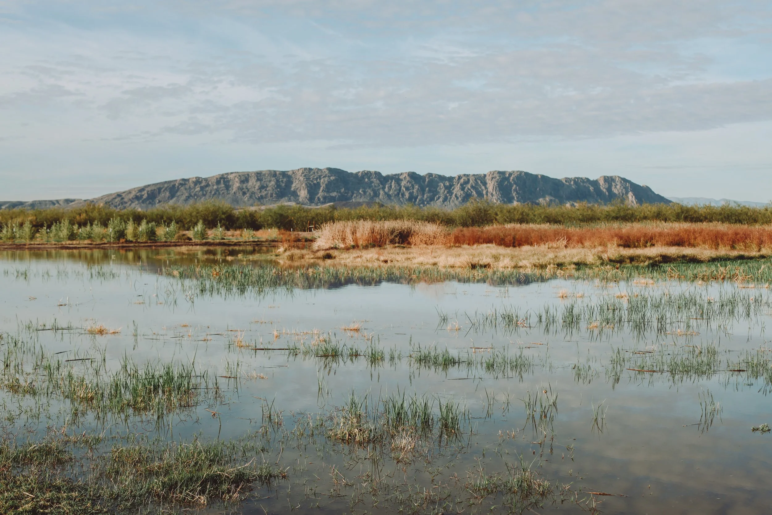 Presidio Texas Welcome to Presidio Texas The oldest continuously