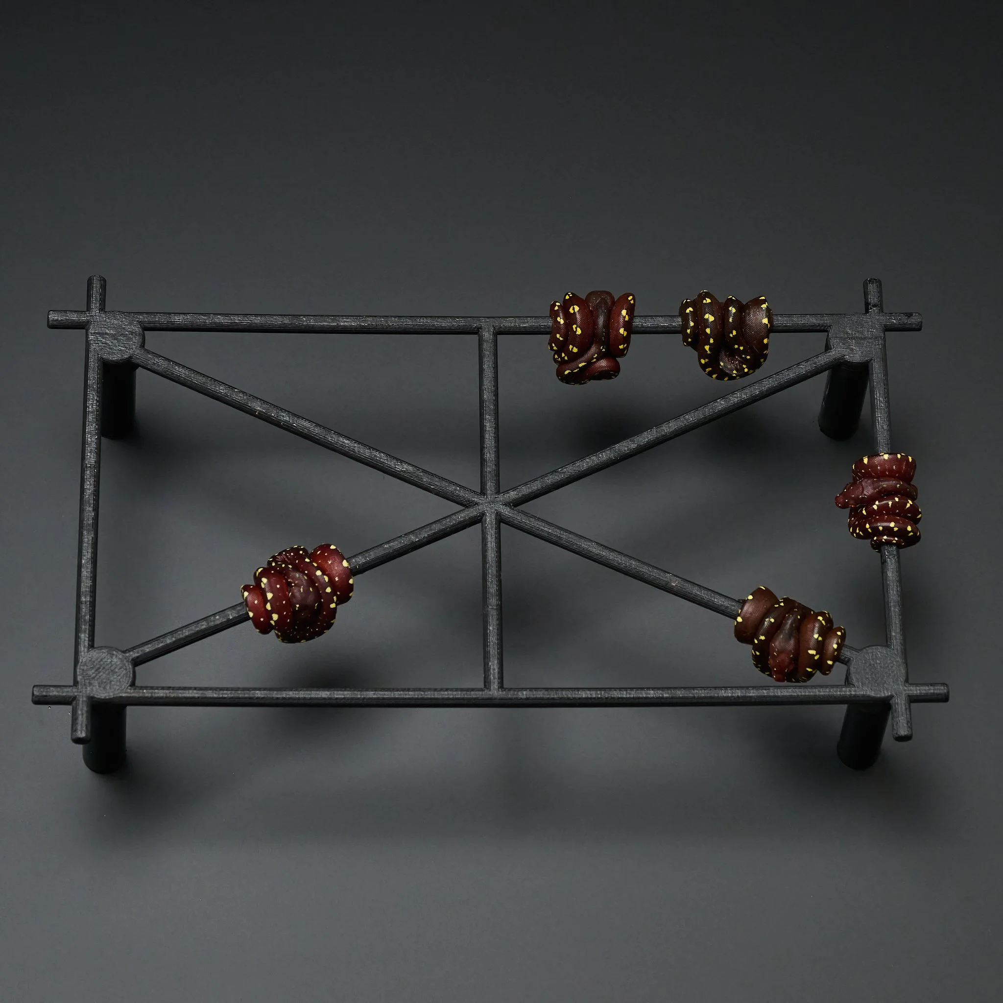 Perched designer neonate green tree pythons against a gray background.