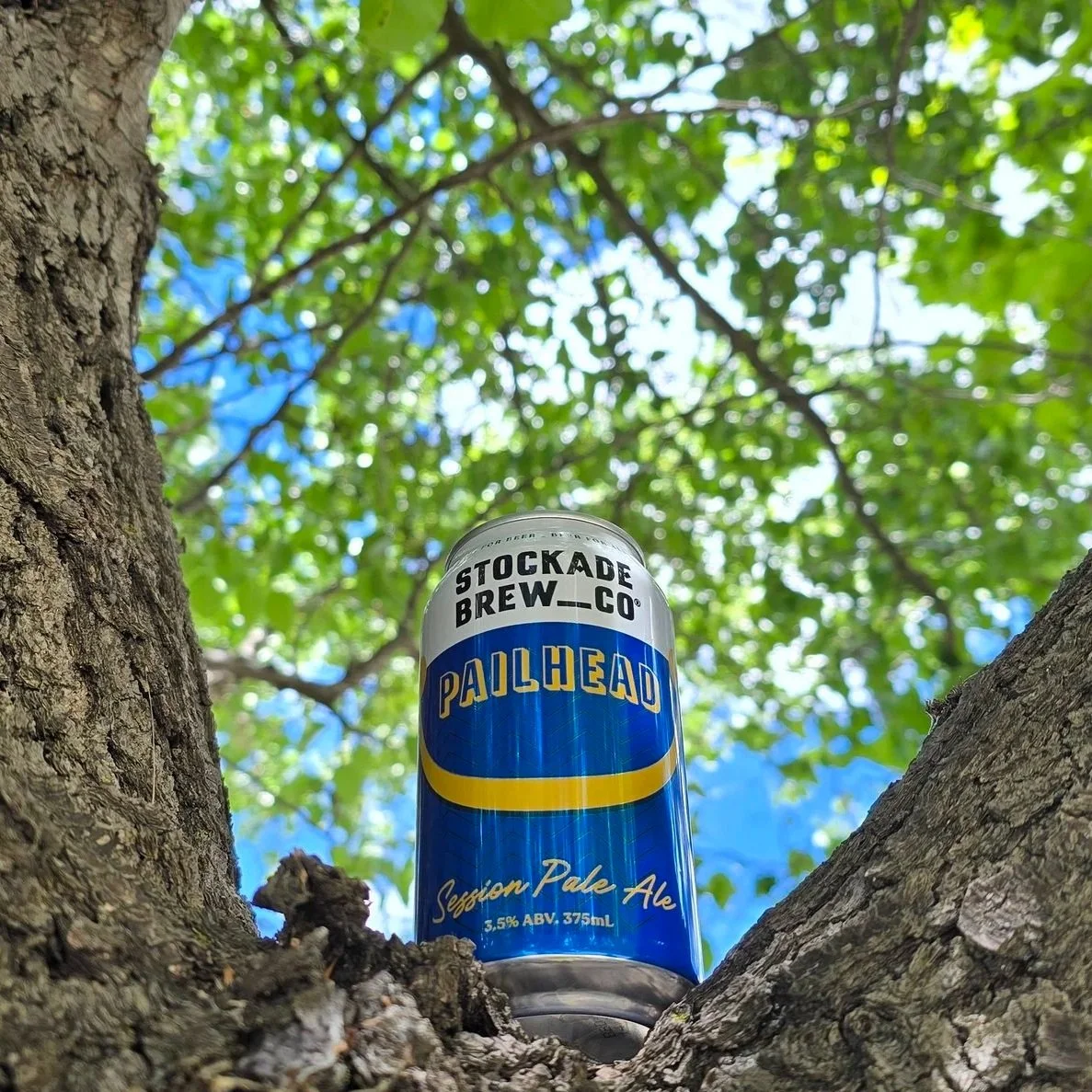 Pailhead Session Pale Ale