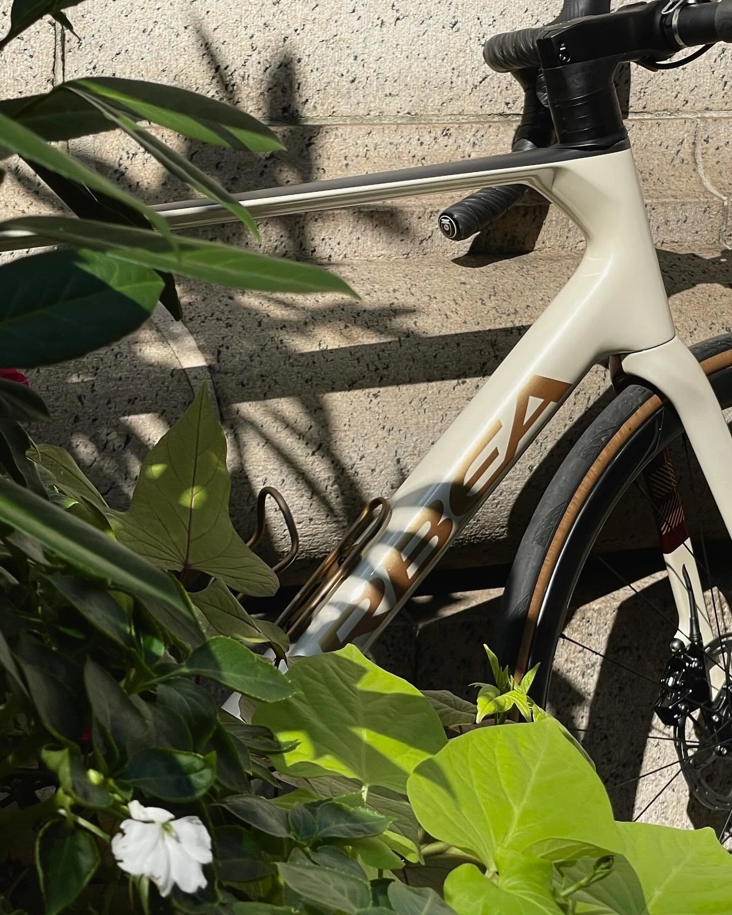 It&rsquo;s no secret that we are an authorized @orbea dealer. Feel free to contact us regarding your next dream build. We&rsquo;re here for it.  This particular Orbea Orca is SOLD.