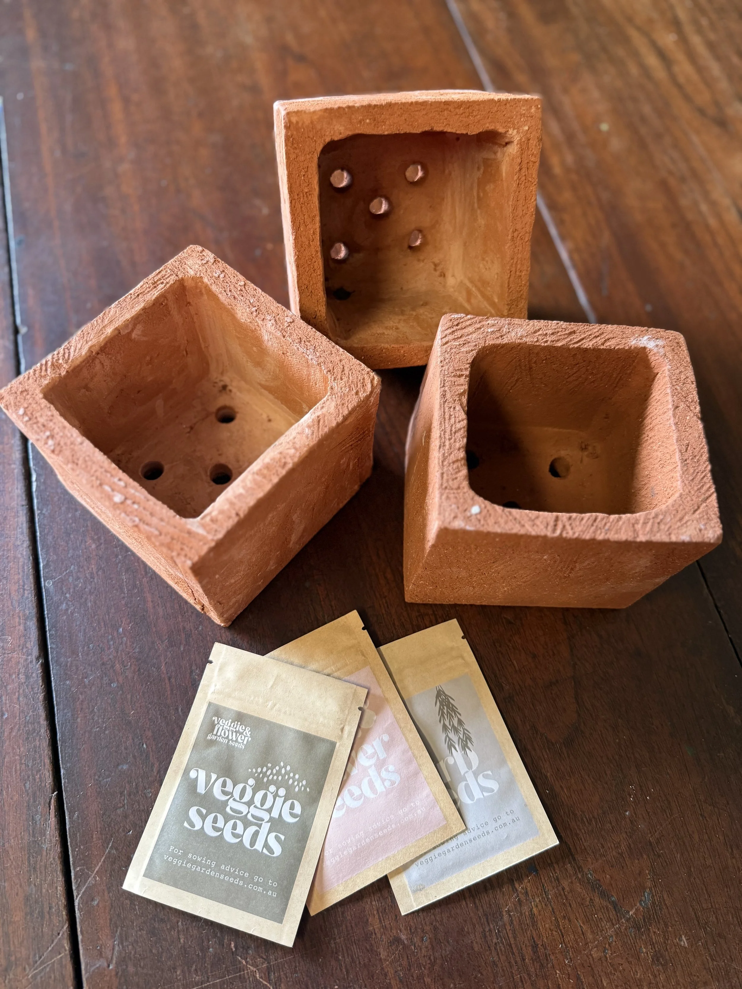 Hand Made Seed Raising Pot $15