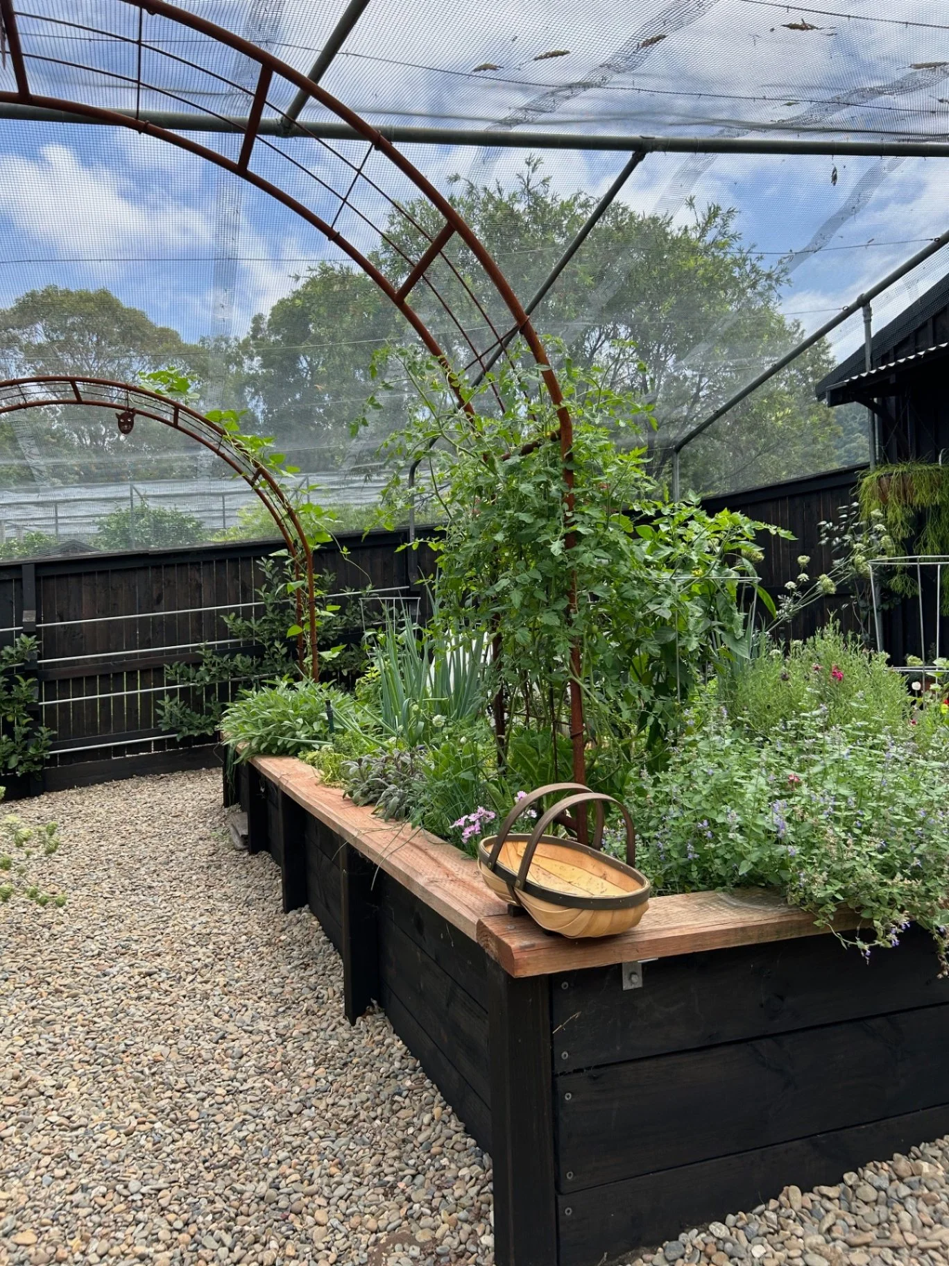 TALK Intensive Planting for Productive Raised Beds - More diversity, more resilience, and more harvests