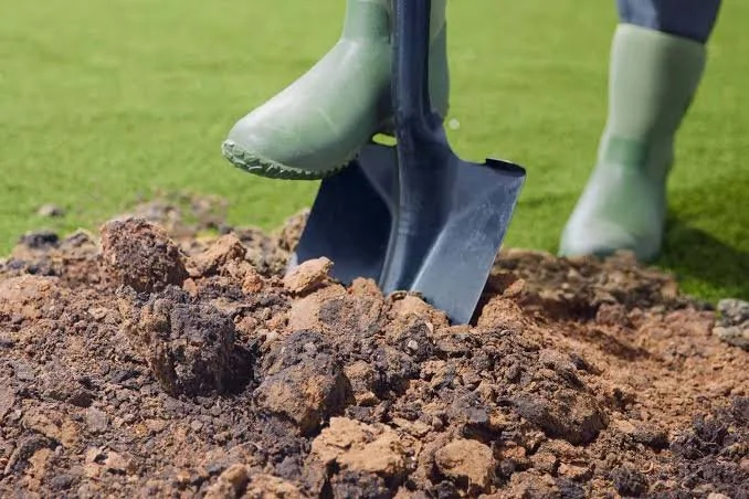 10th OCTOBER TALK  Unlocking the Secrets of Soil Care & Garden Bed Preparation