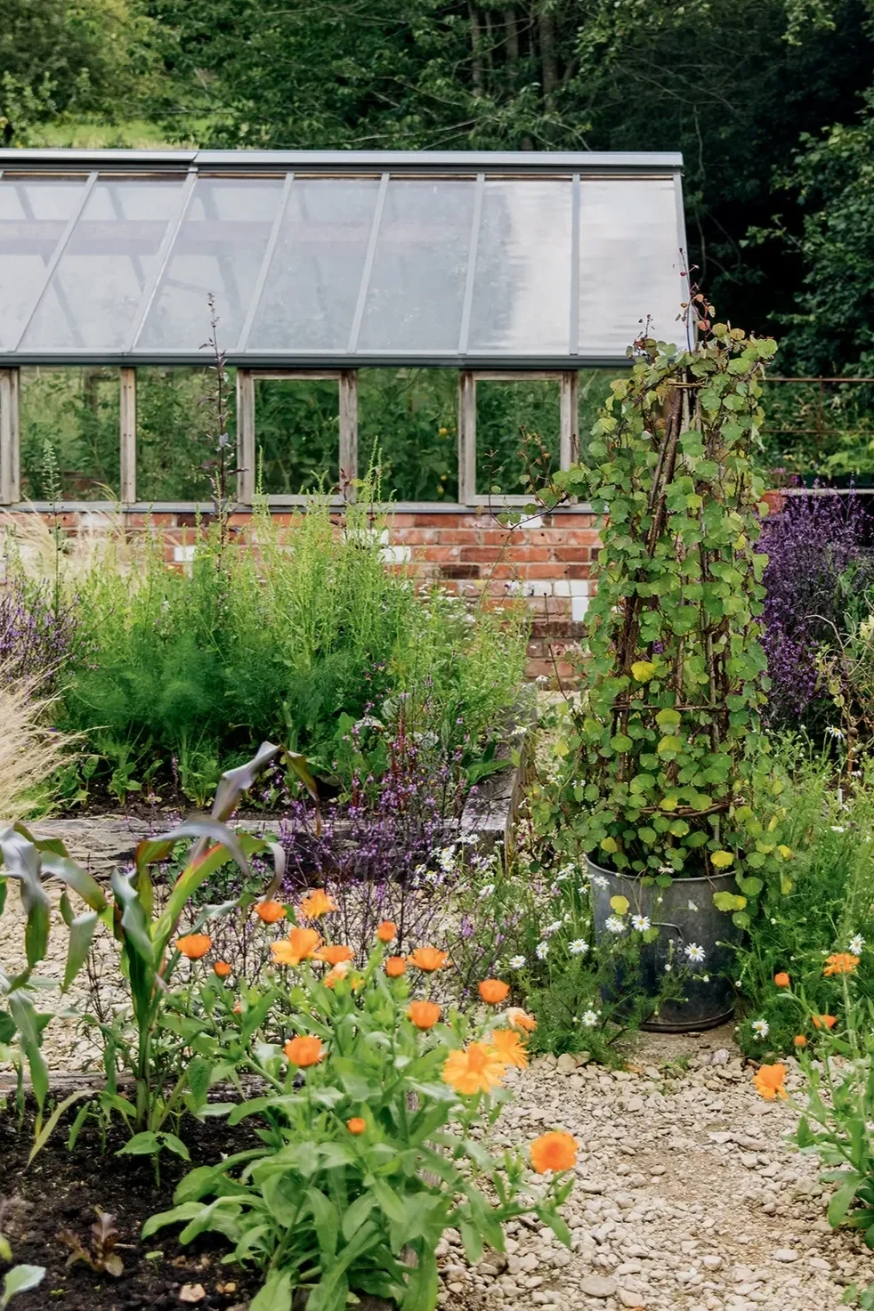 14th NOVEMBER TALK Explore Organic Companion Planting & Edimentals — where beauty meets nutrition