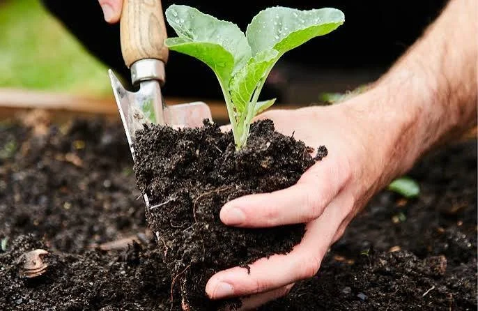 12th SEPTEMBER WORKSHOP Discover the skills of Seed Sowing - An Interactive Organic Farm Adventure
