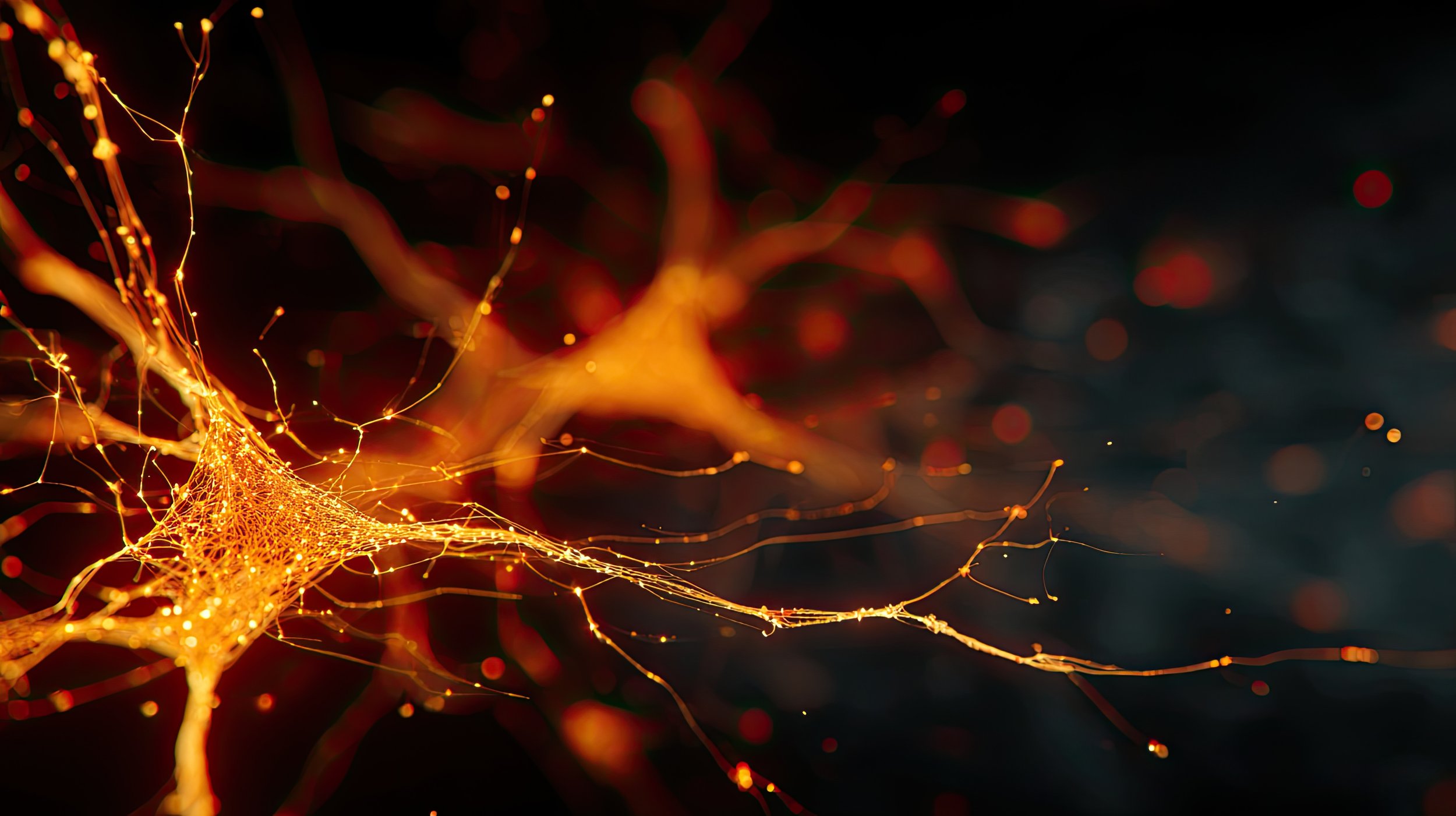 What Do We Mean by Intelligence?