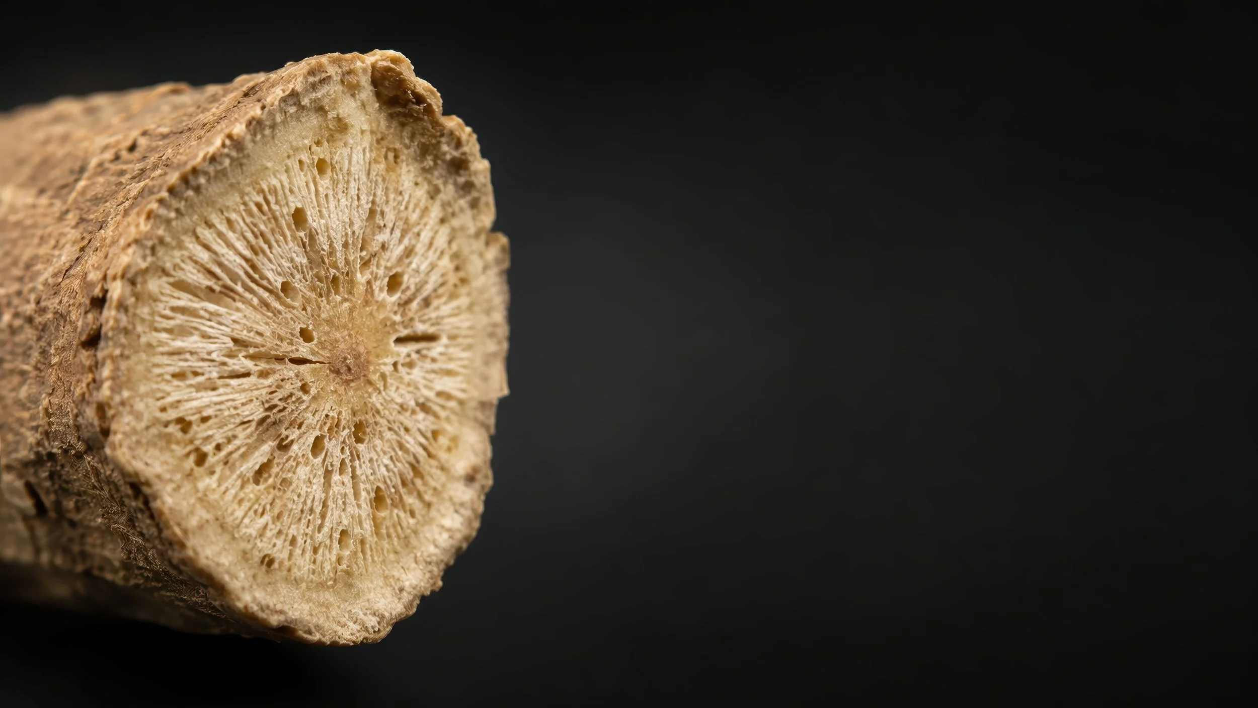 Adaptogens Are Not Supplements