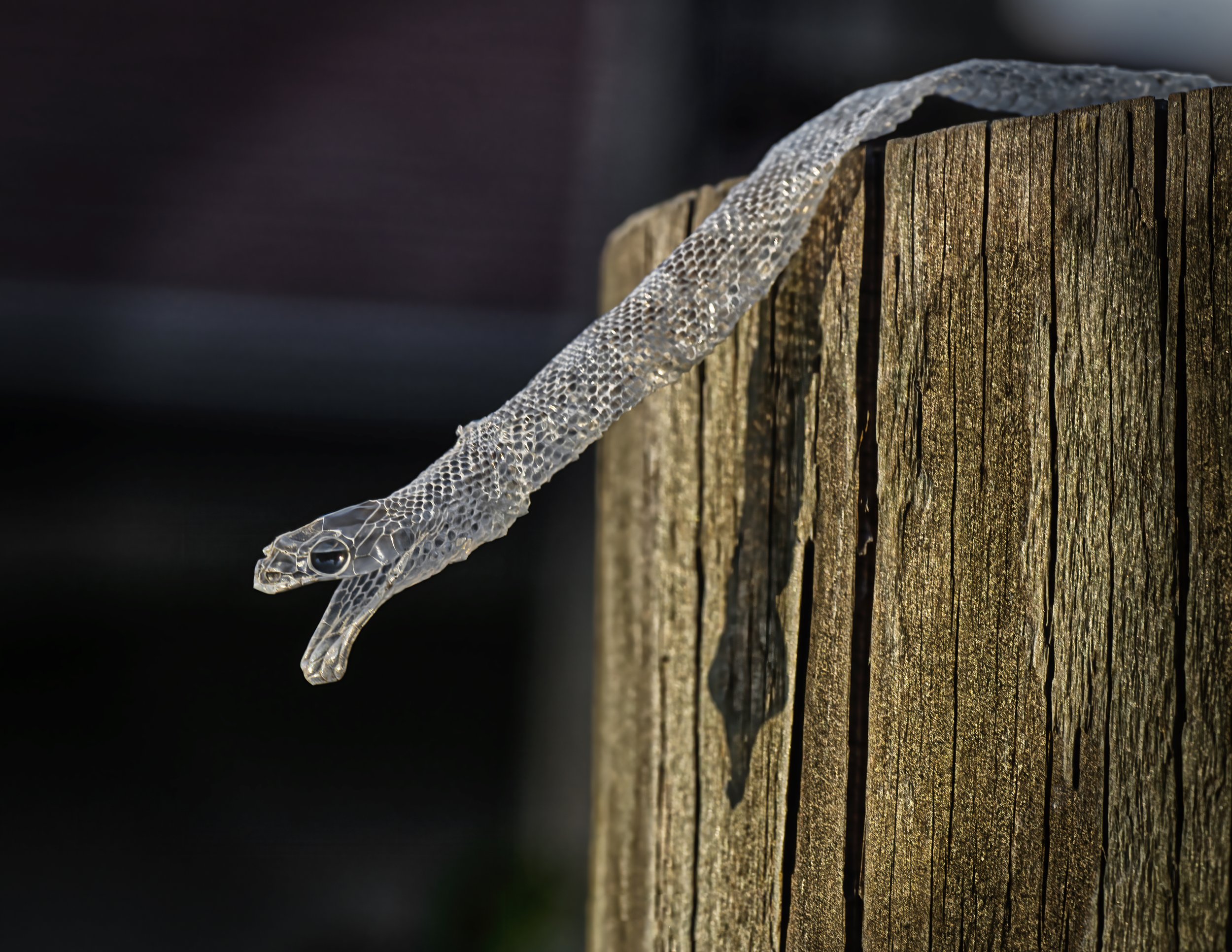 What Does Letting Go Really Mean?