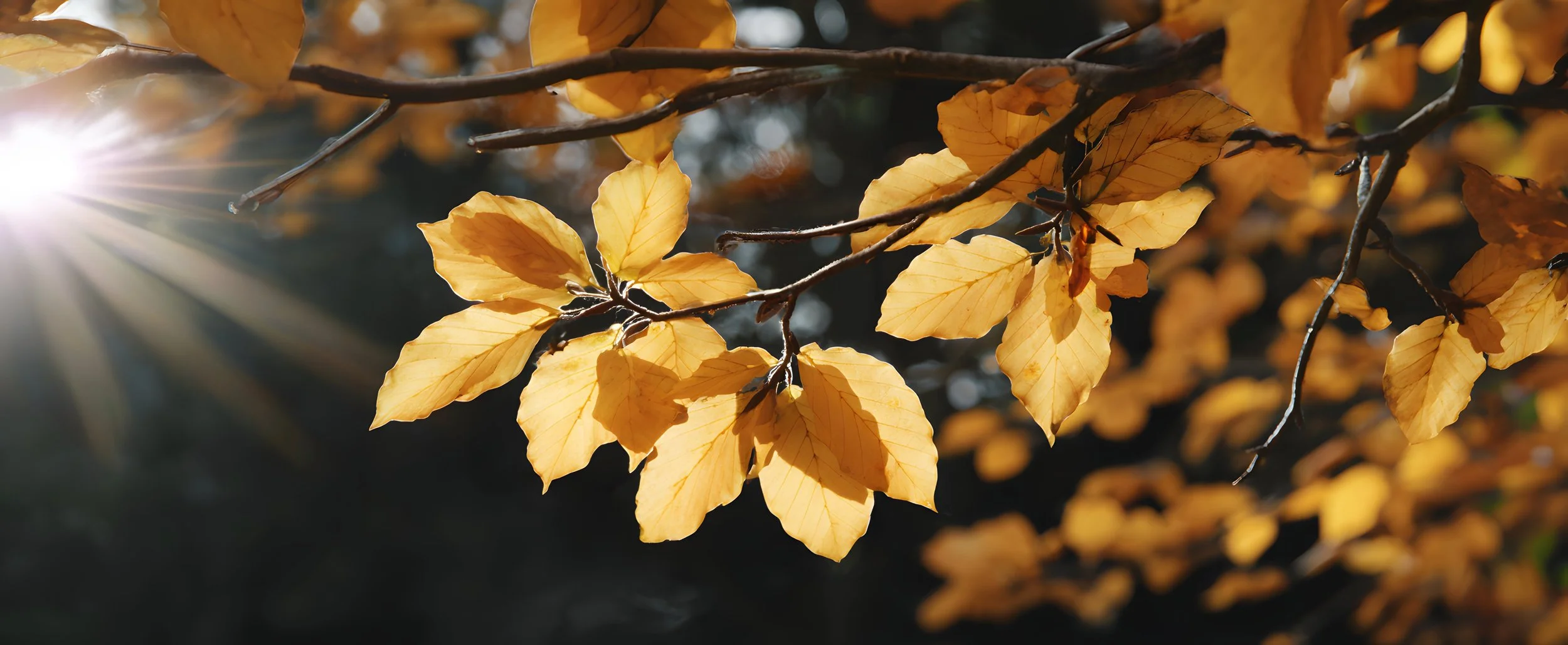 The Season Has Its Own Intelligence