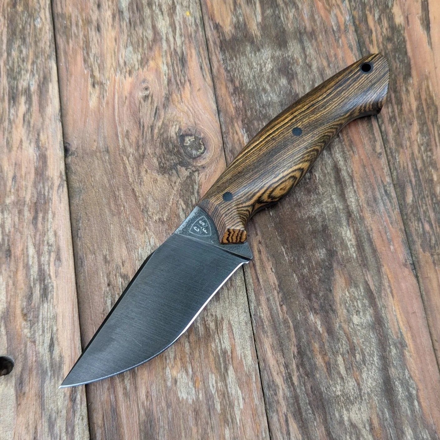 Buzzard -  1084, Bocote