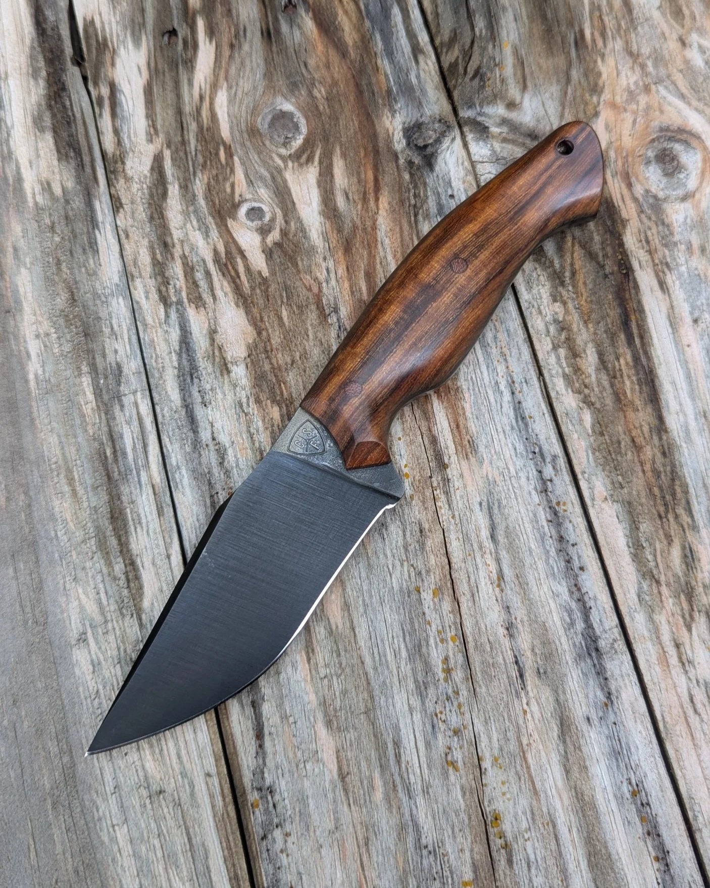 Buzzard -  1084, Desert Ironwood