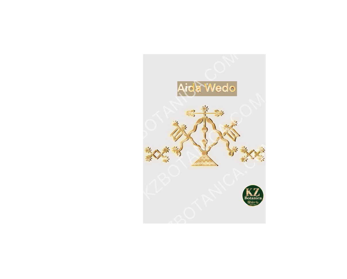 Aida Wedo Vèvè 8.5X11 Laminated Image