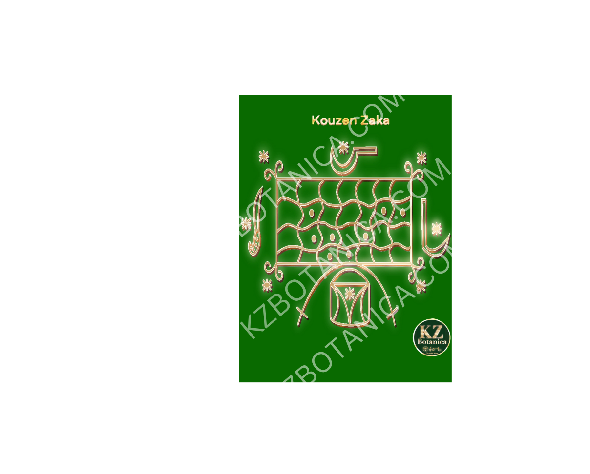 Kouzen Zaka Vèvè 8.5X11 Laminated Image