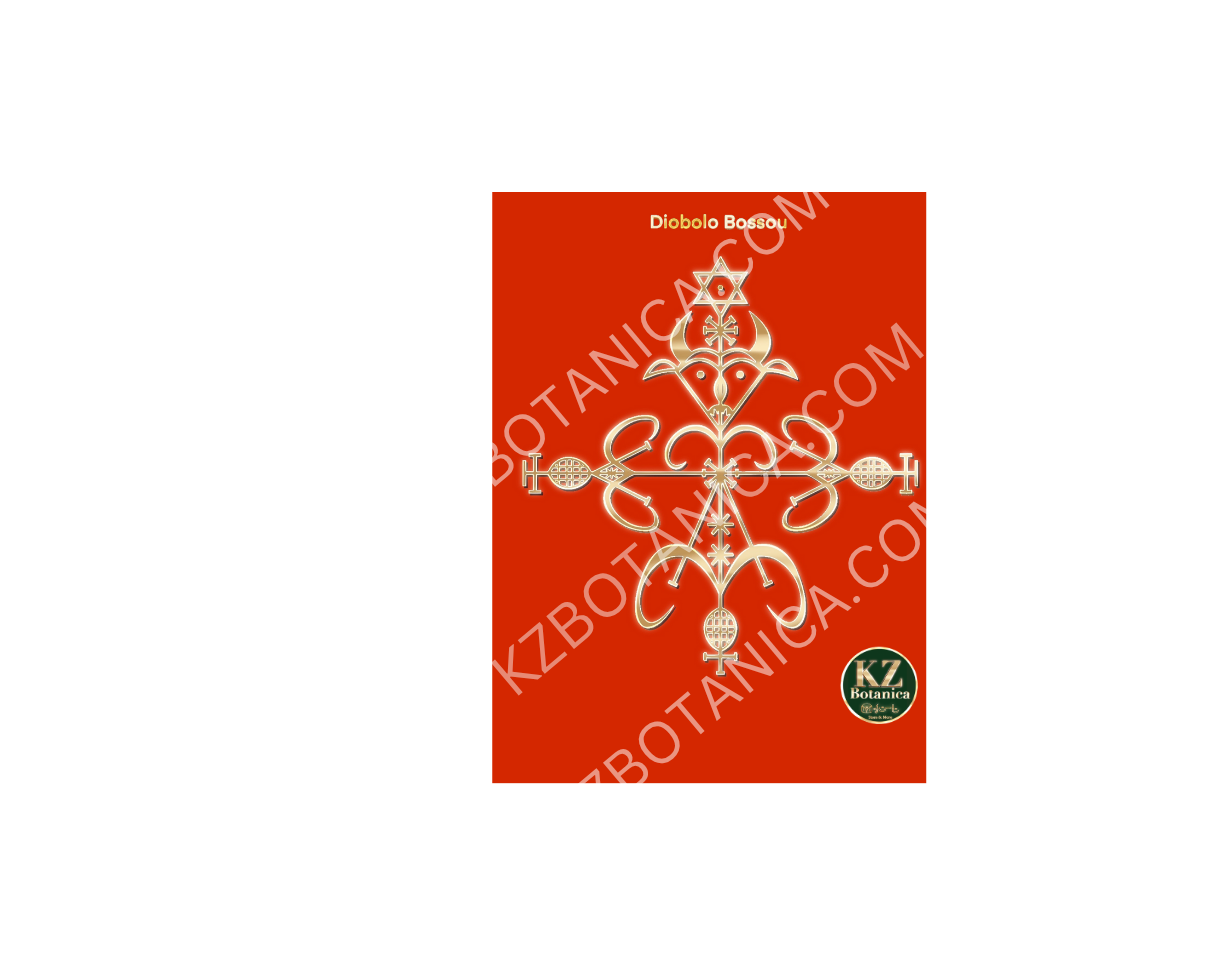 Diobolo Bossou Vèvè 8.5X11 Laminated Image