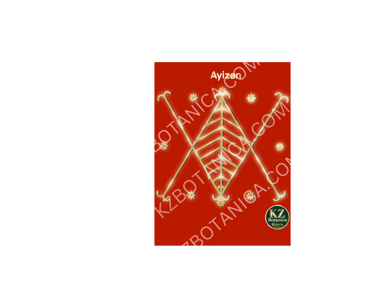 Ayizan Vèvè 8.5X11 Laminated Image