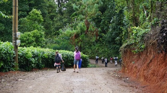Students in rural Nicaragua returning home after school. They will trudge over dirt roads and paths, sometimes for many kilometers.