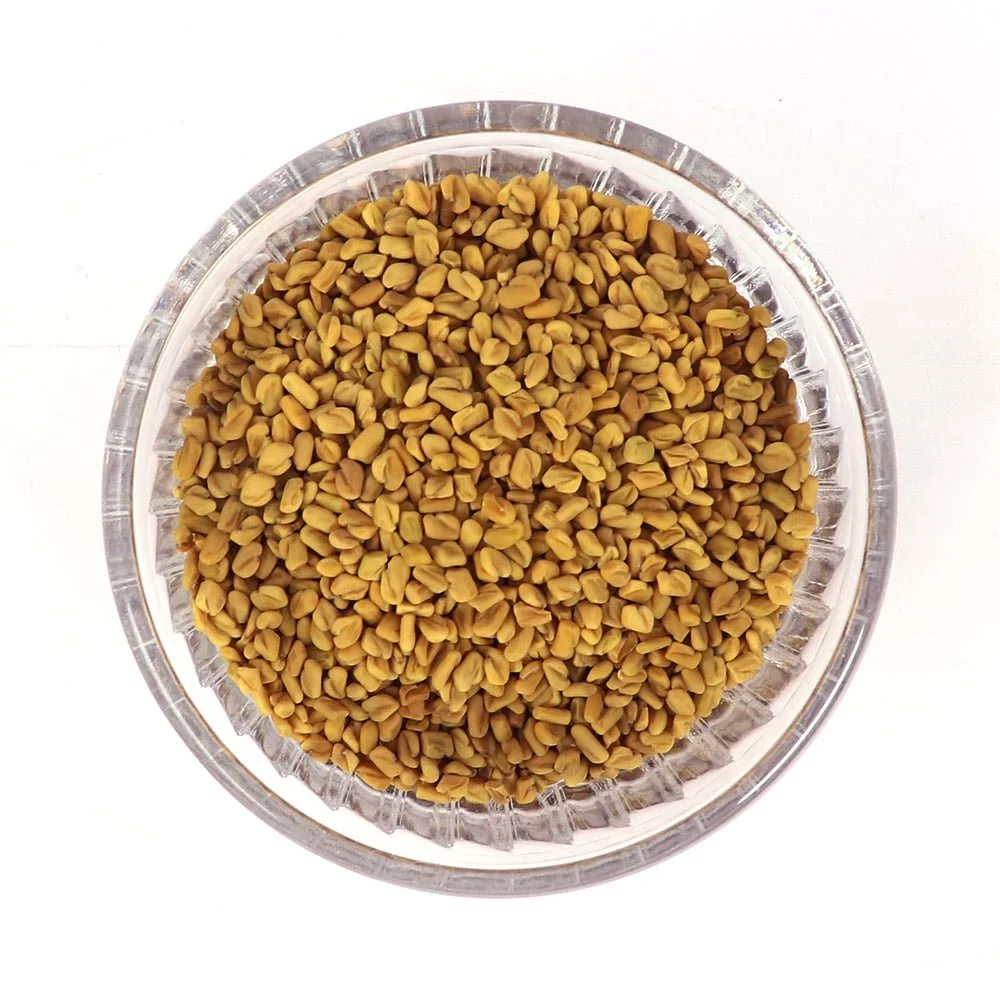 FENUGREEK SEED.jpg