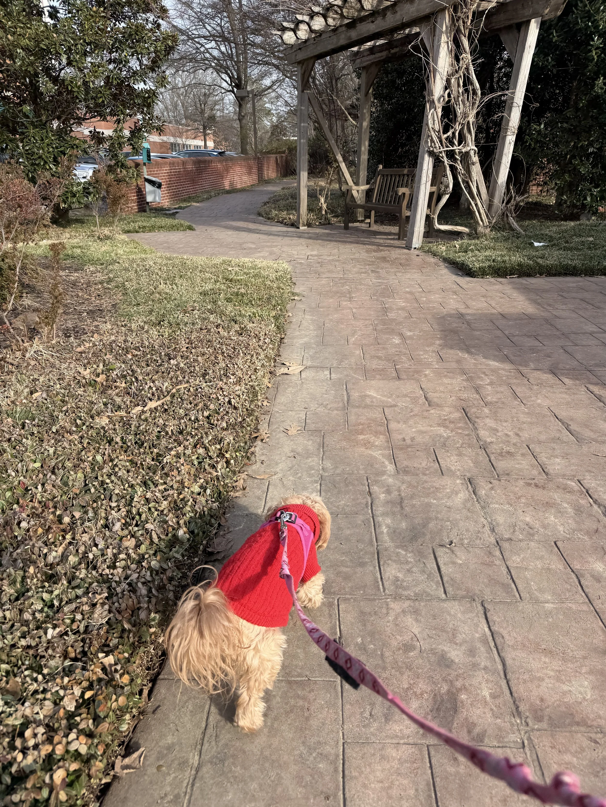 IMG_6224.jpeg