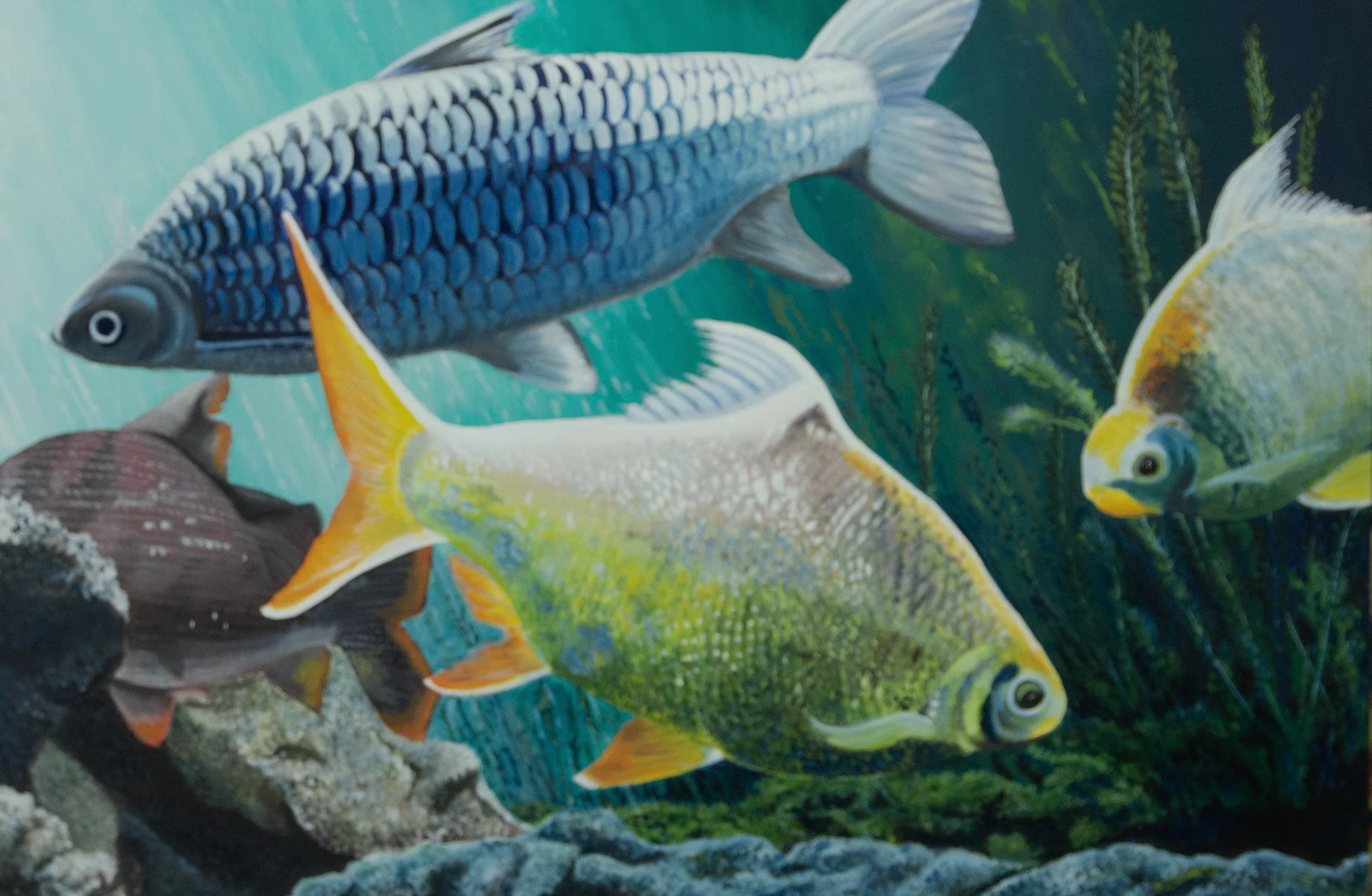 painting the fish tank.jpg