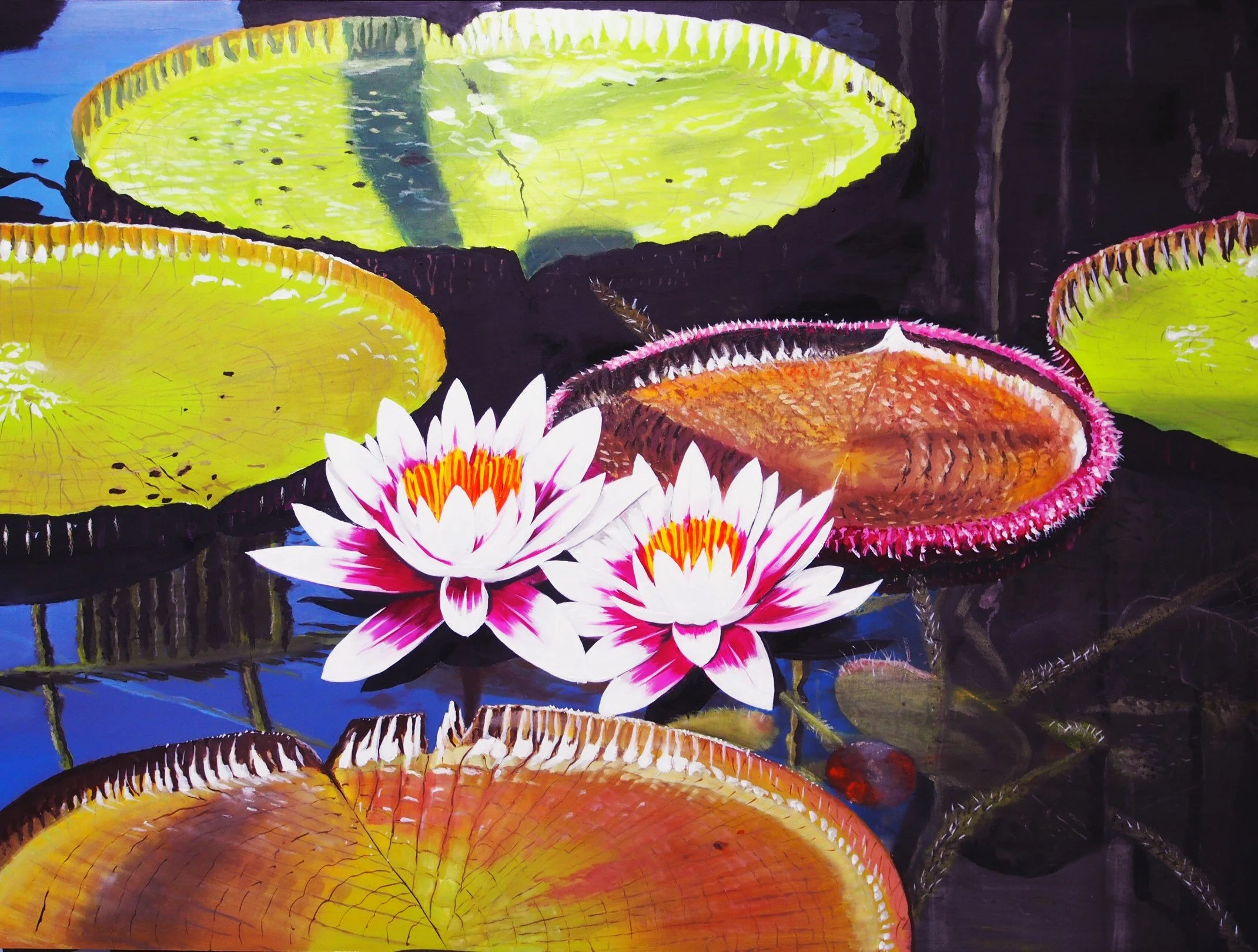 water lillies 26.jpg