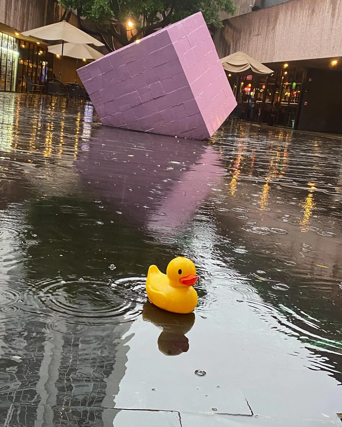 Tarde lluviosa en el patio de mi amada Cineteca Nacional, mi segunda casa. #duck #yellowduck #ducksofinstagram #duckstagram #duckmovie #rainingday☔ #rainatnight #lluvia #lluviadeverano☀️🌦 #lluvias #tardelluviosa #tardedelluvia #lluviaymaslluvia #llu