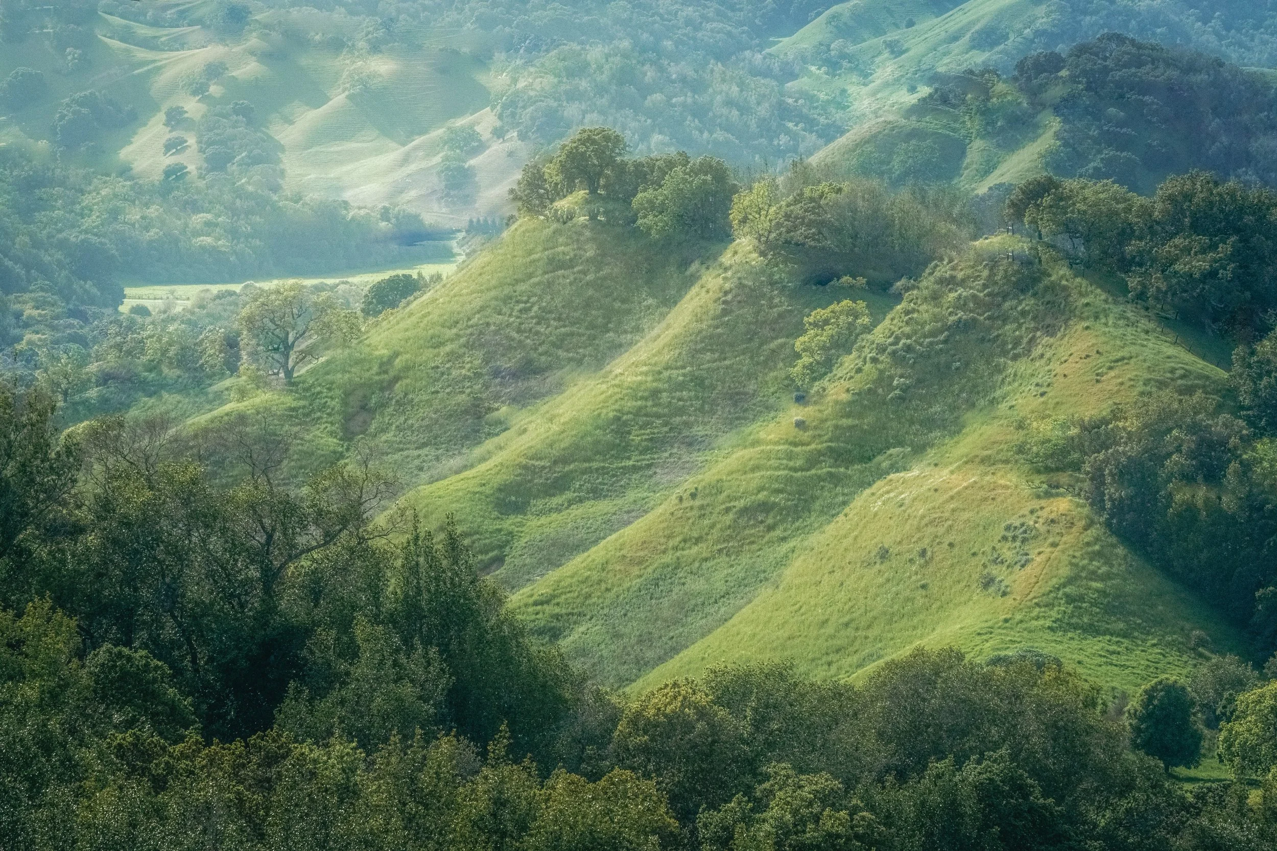 Briones-2.jpg