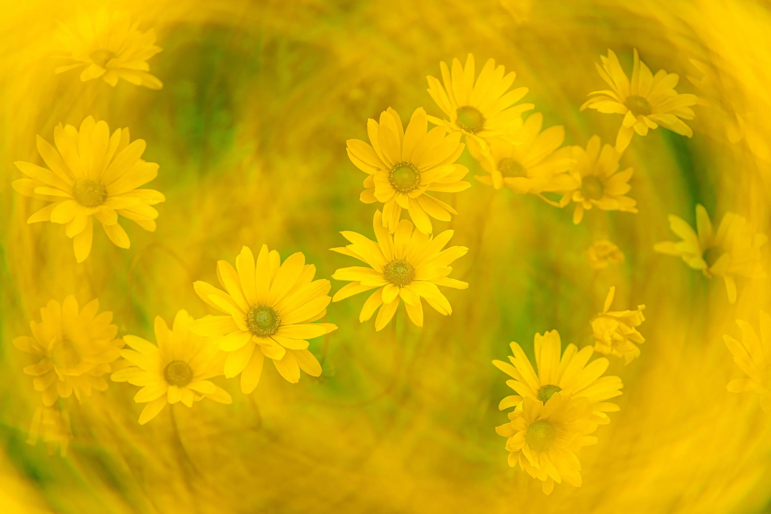 colors-1.jpg