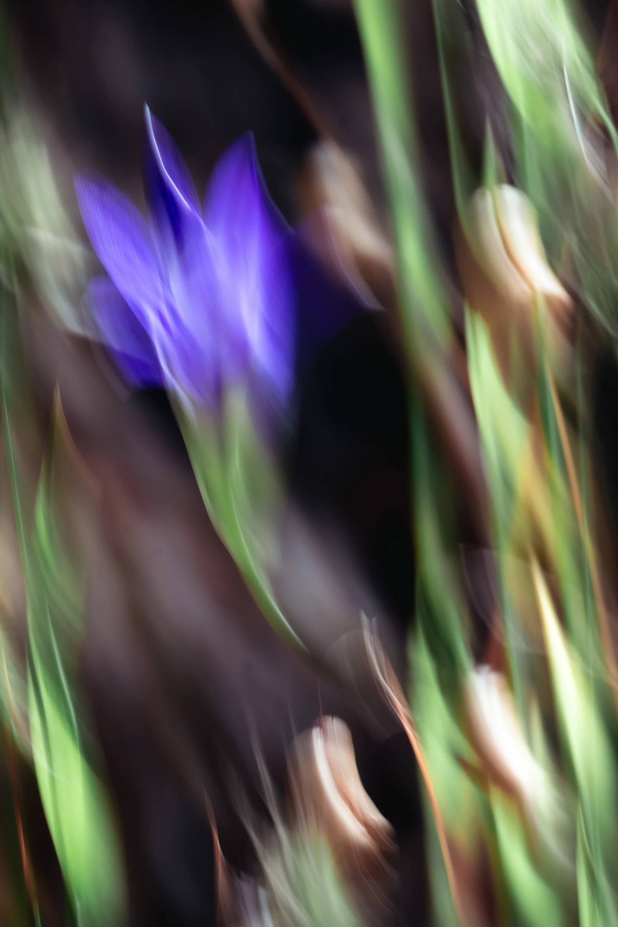 galleries-05.jpg