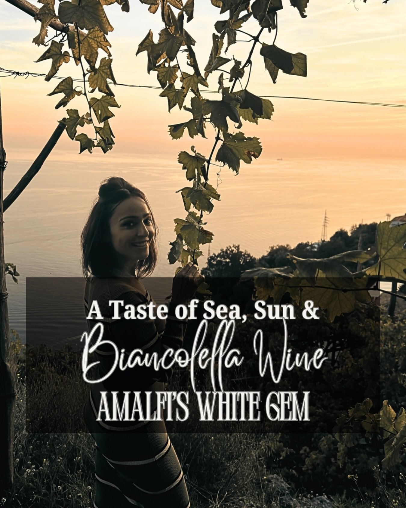 Biancolella: The Hidden White Gem of Amalfi

Beyond the cliffs, sea breeze, and sun-drenched terraces of the Amalfi Coast, this native grape variety quietly defines the region&rsquo;s winemaking soul. Biancolella is Amalfi&rsquo;s signature white&mda
