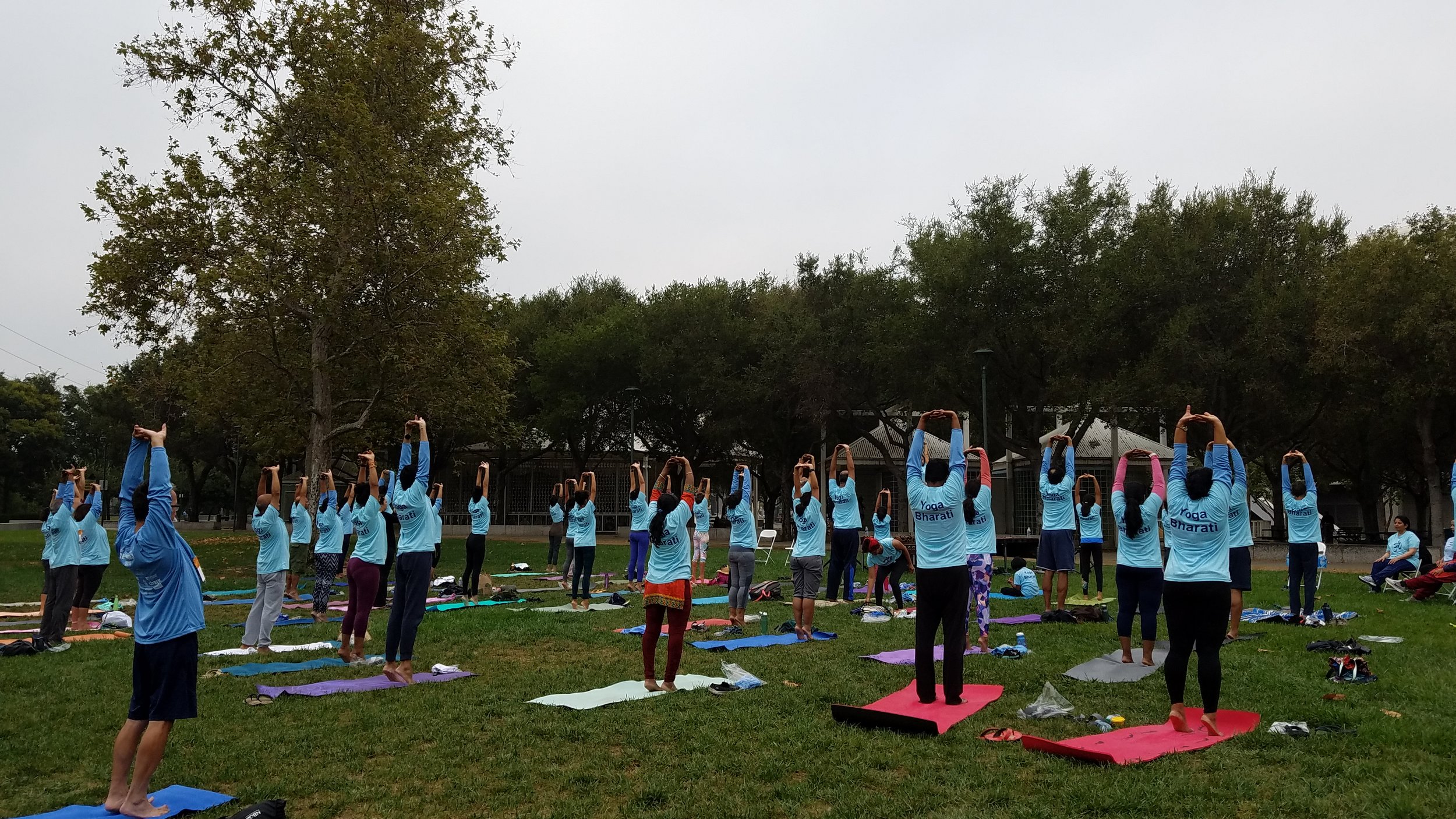 Online-International Day of Yoga (IDY)