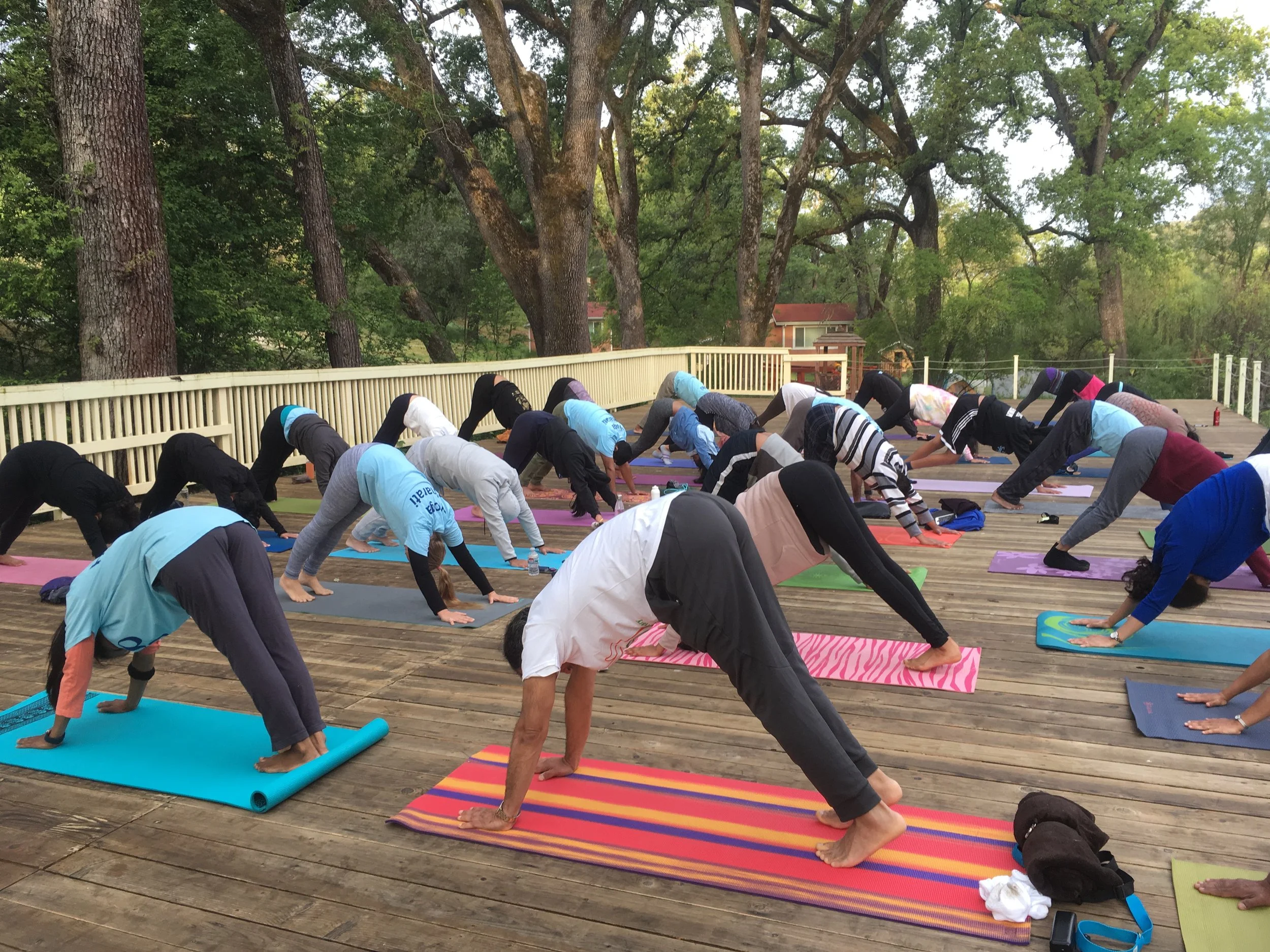 Yoga Day Simi Valley CA