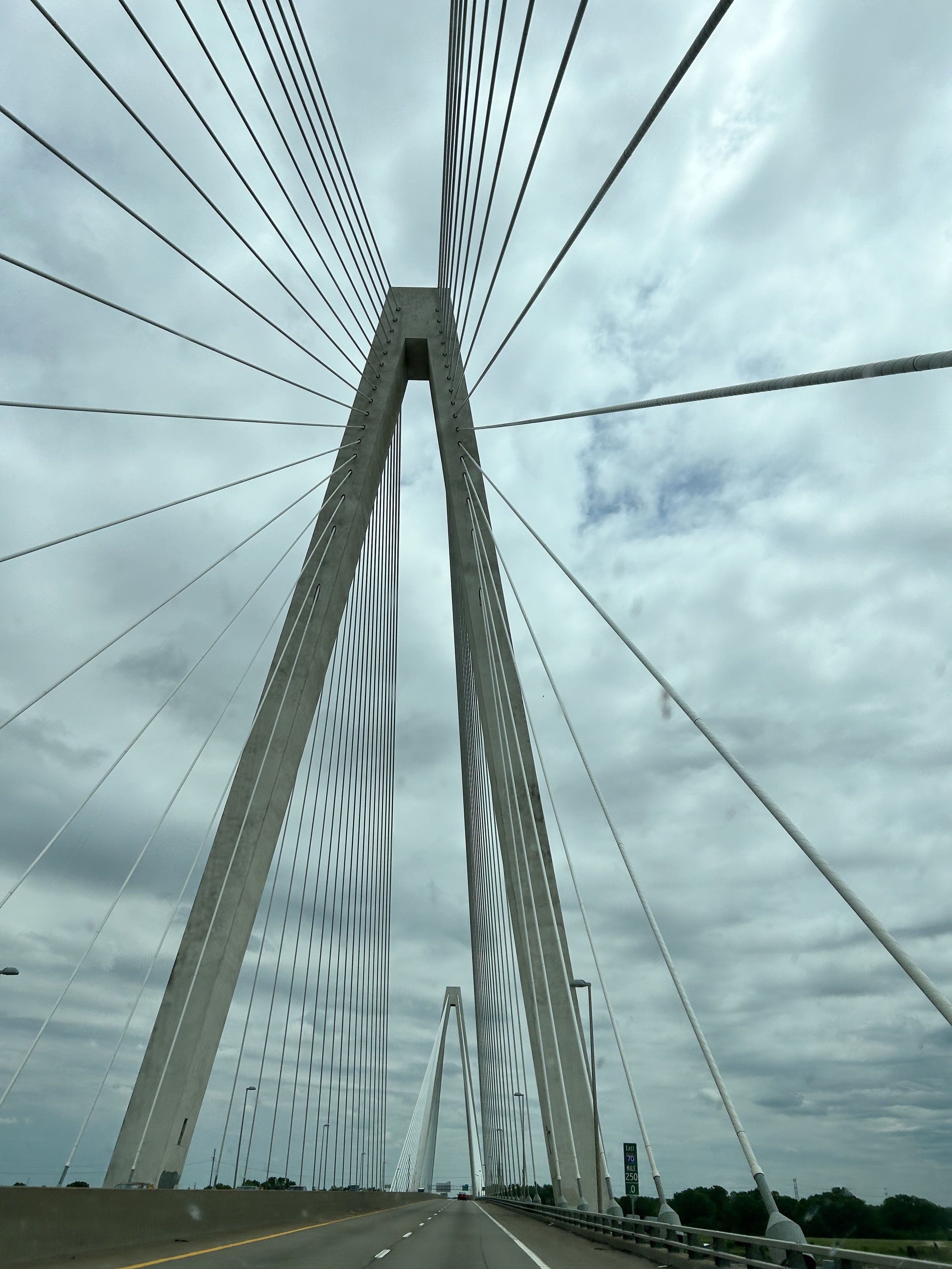 IMG_3131.jpeg