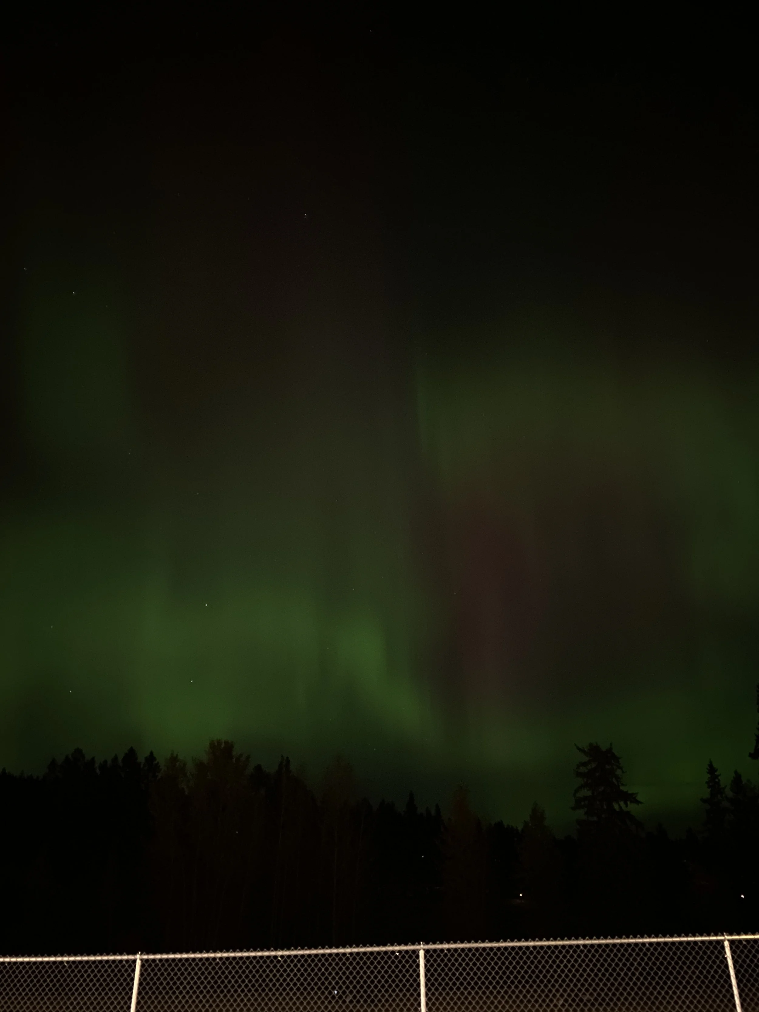196A5826-2055-4EE0-AD1D-1BC3B376E742.jpeg