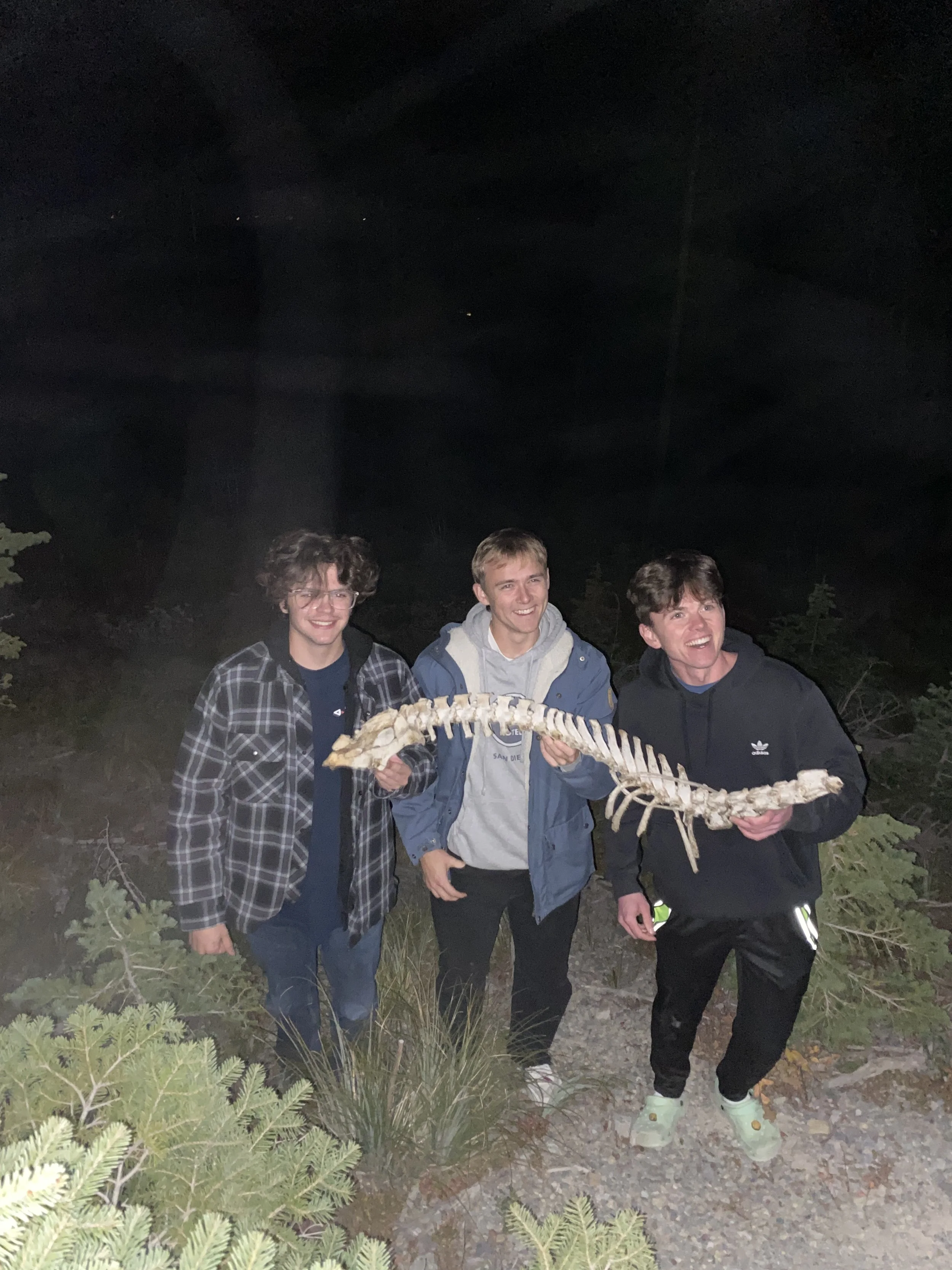 EB586F29-5C22-49F0-9683-D2BA0D0F8317.jpeg